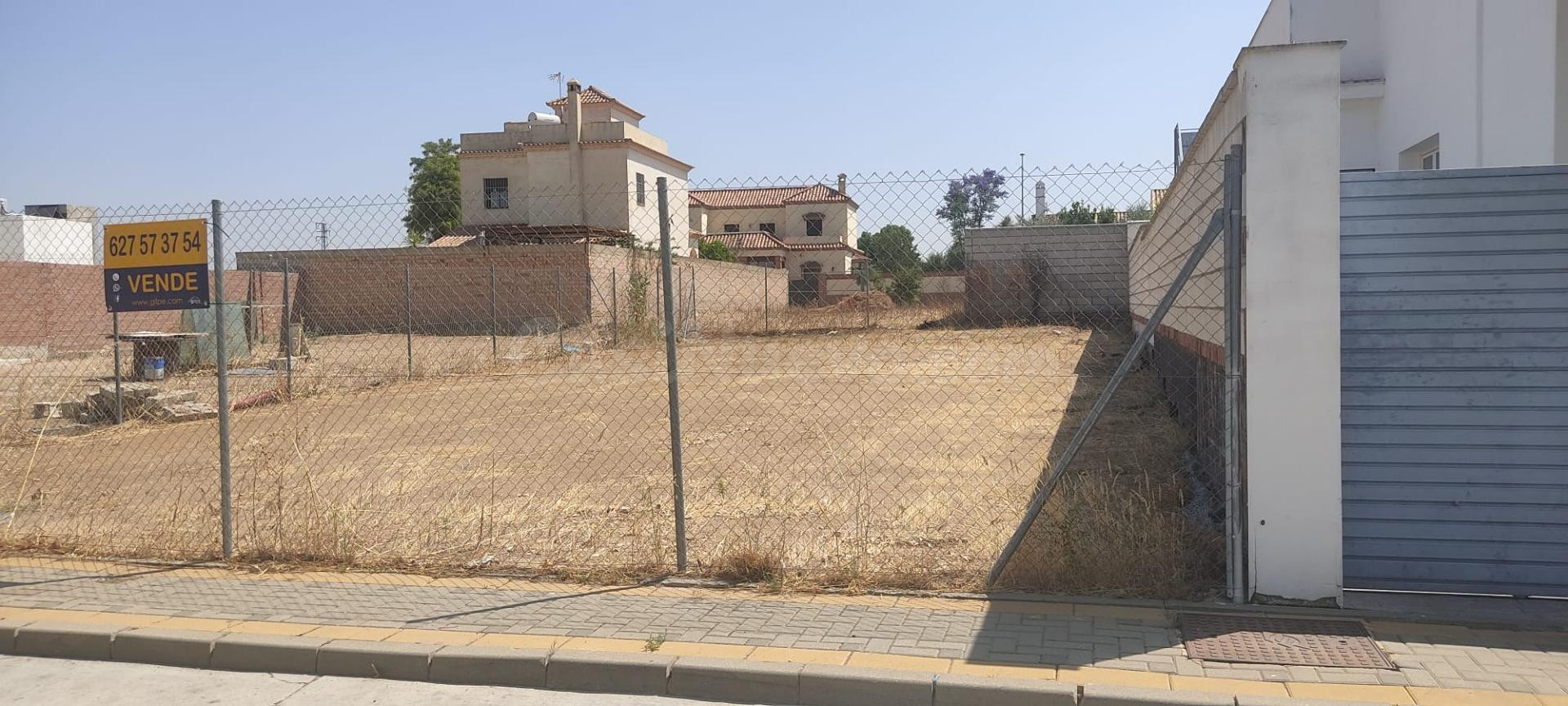 GRAN SOLAR EN MARCHENA - foto 2