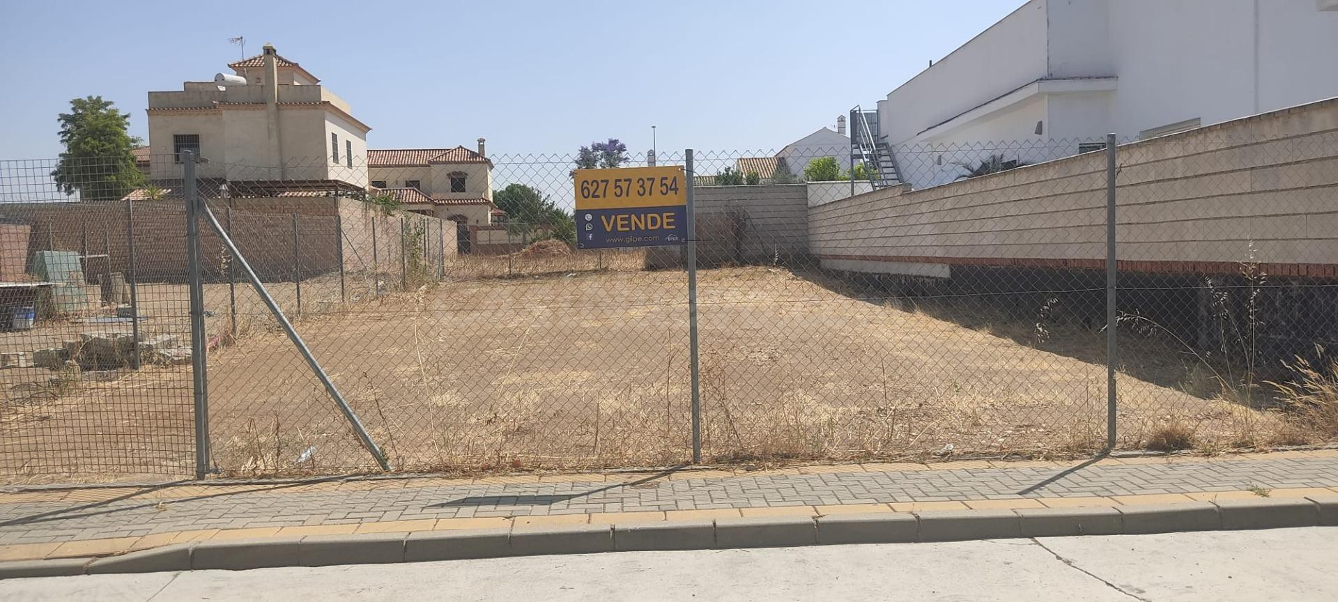 GRAN SOLAR EN MARCHENA - foto 4