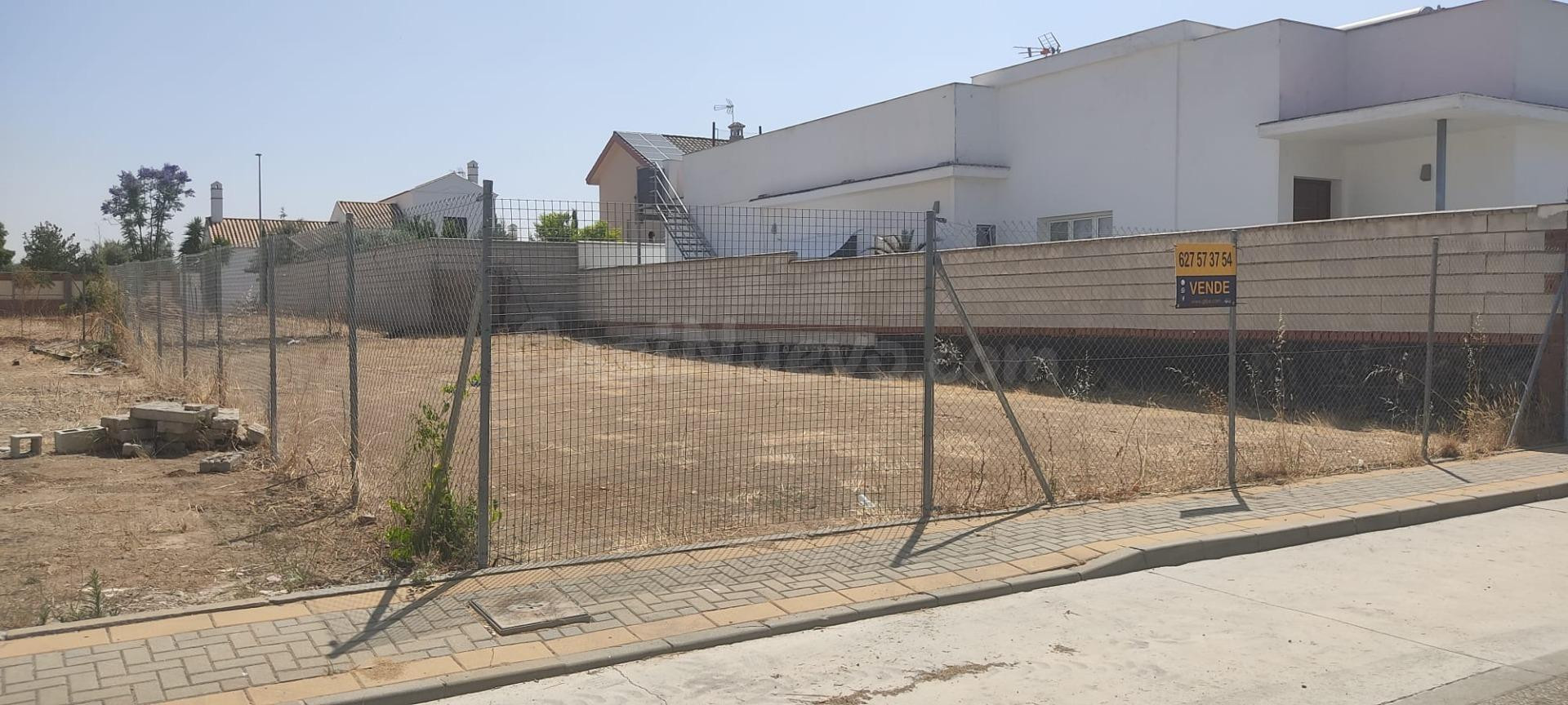 GRAN SOLAR EN MARCHENA - foto 5