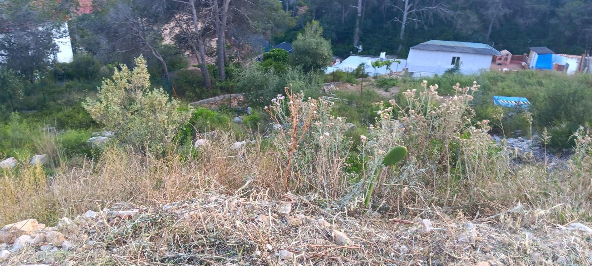 TERRENO URBANO EN VENTA, MAS TRADER, CUBELLES - foto 3