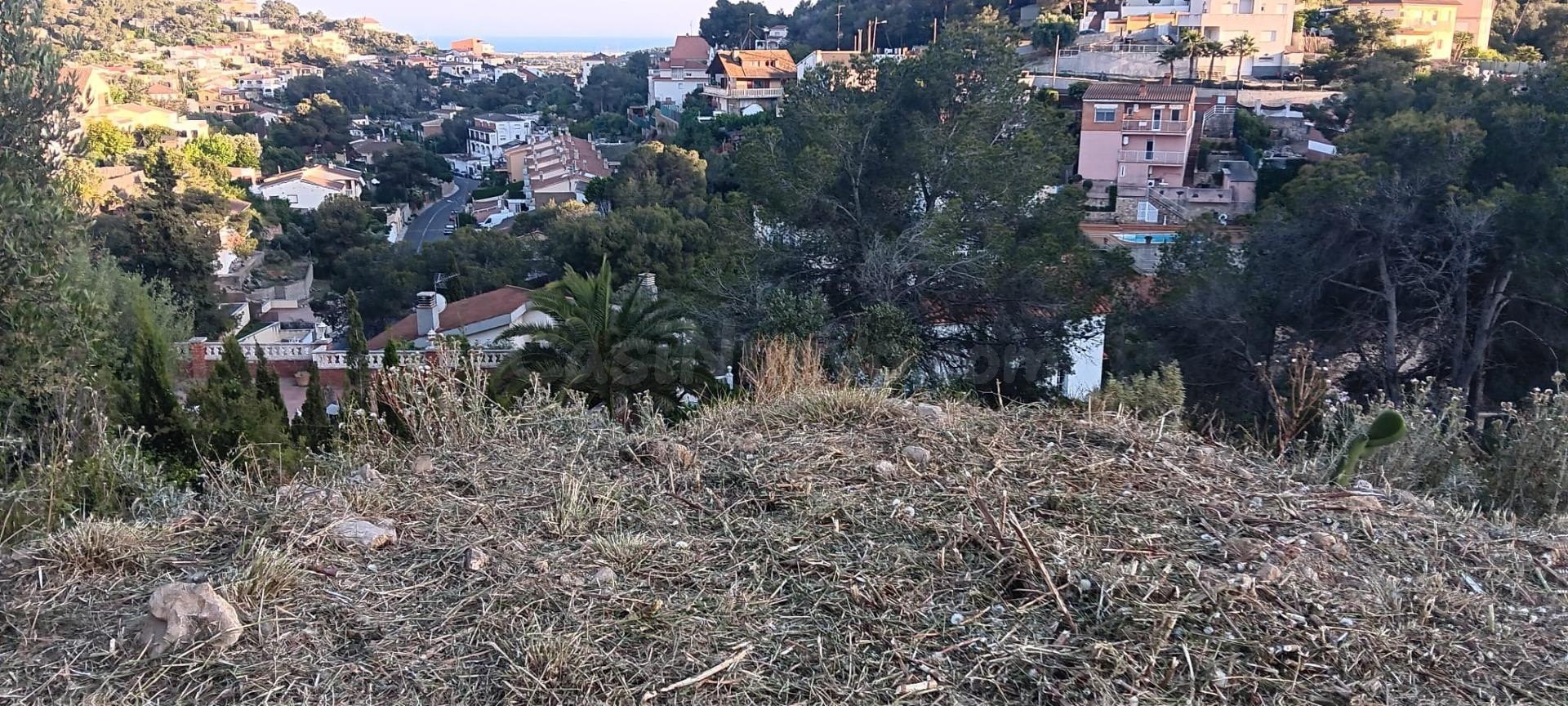 TERRENO URBANO EN VENTA, MAS TRADER, CUBELLES - foto 5