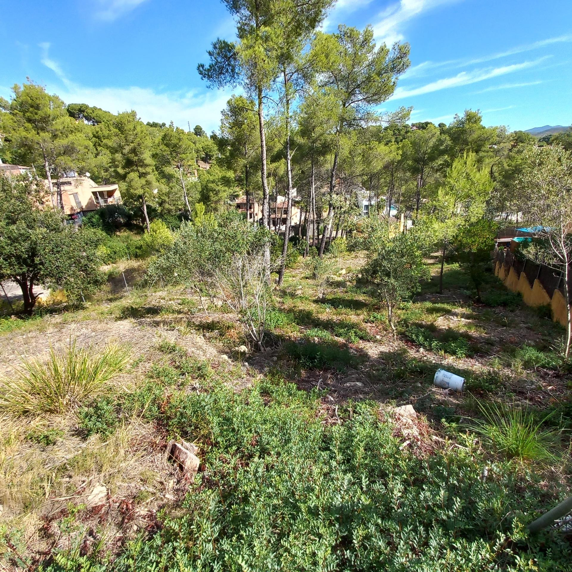 Terreno en venta. - foto 2
