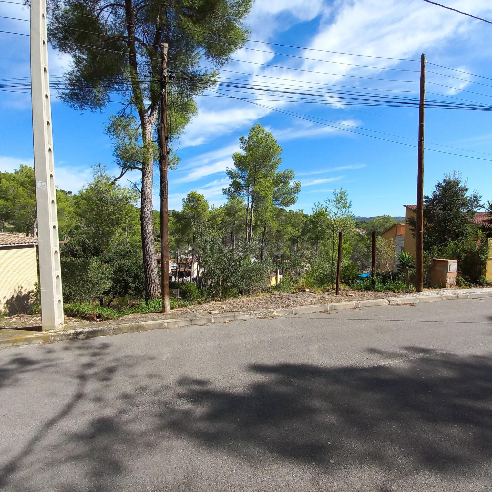 Terreno en venta. - foto 4