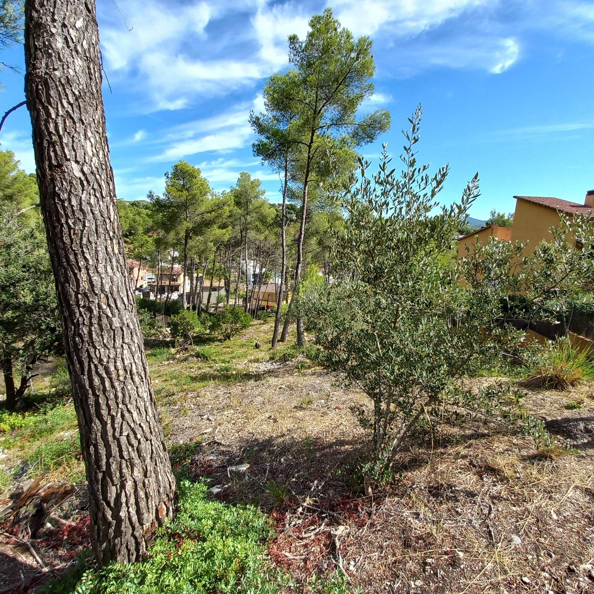 Terreno en venta. - foto 5