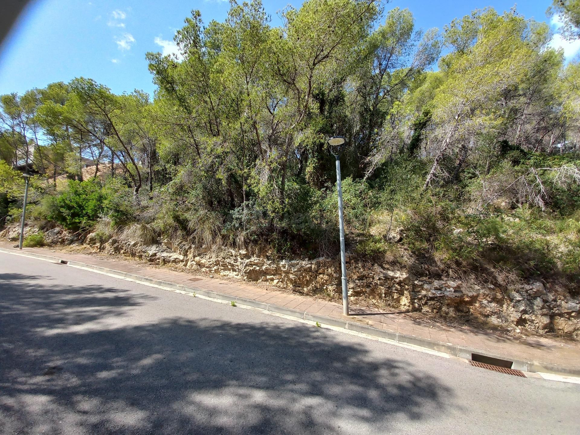 Gran solar en venta en urb. Mas Alba, para 8 casas. - foto 2