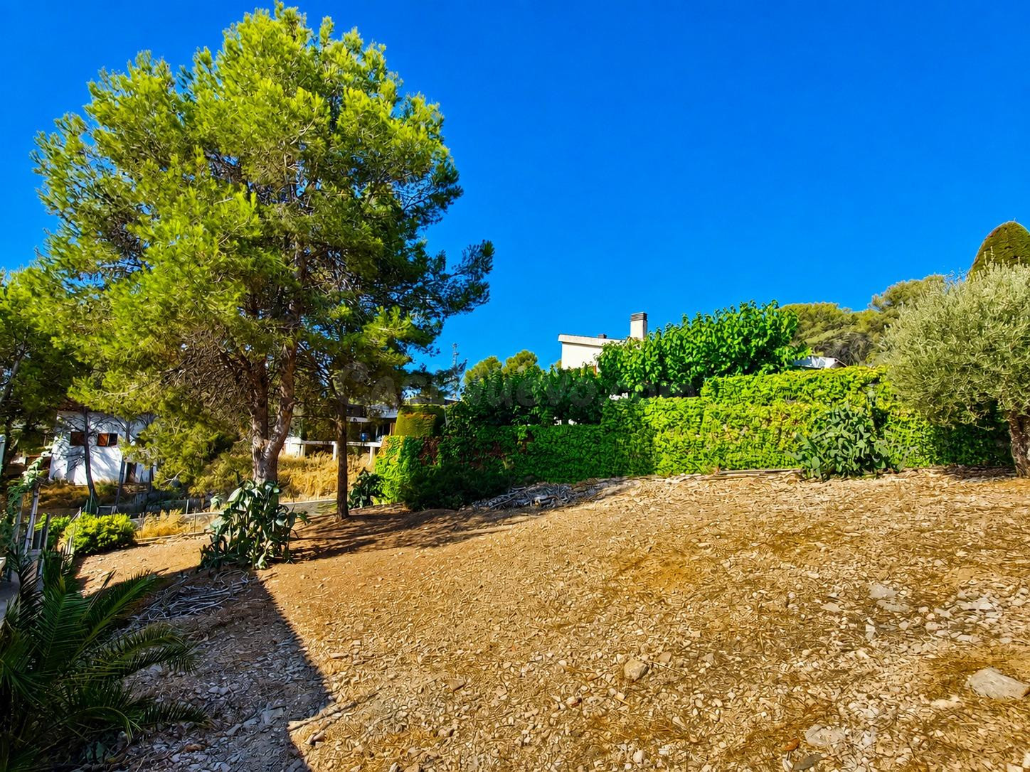 TERRENO DE 612 m2 EN LES QUINTANES – CONSTRUYE TU CASA EN UN - foto 3