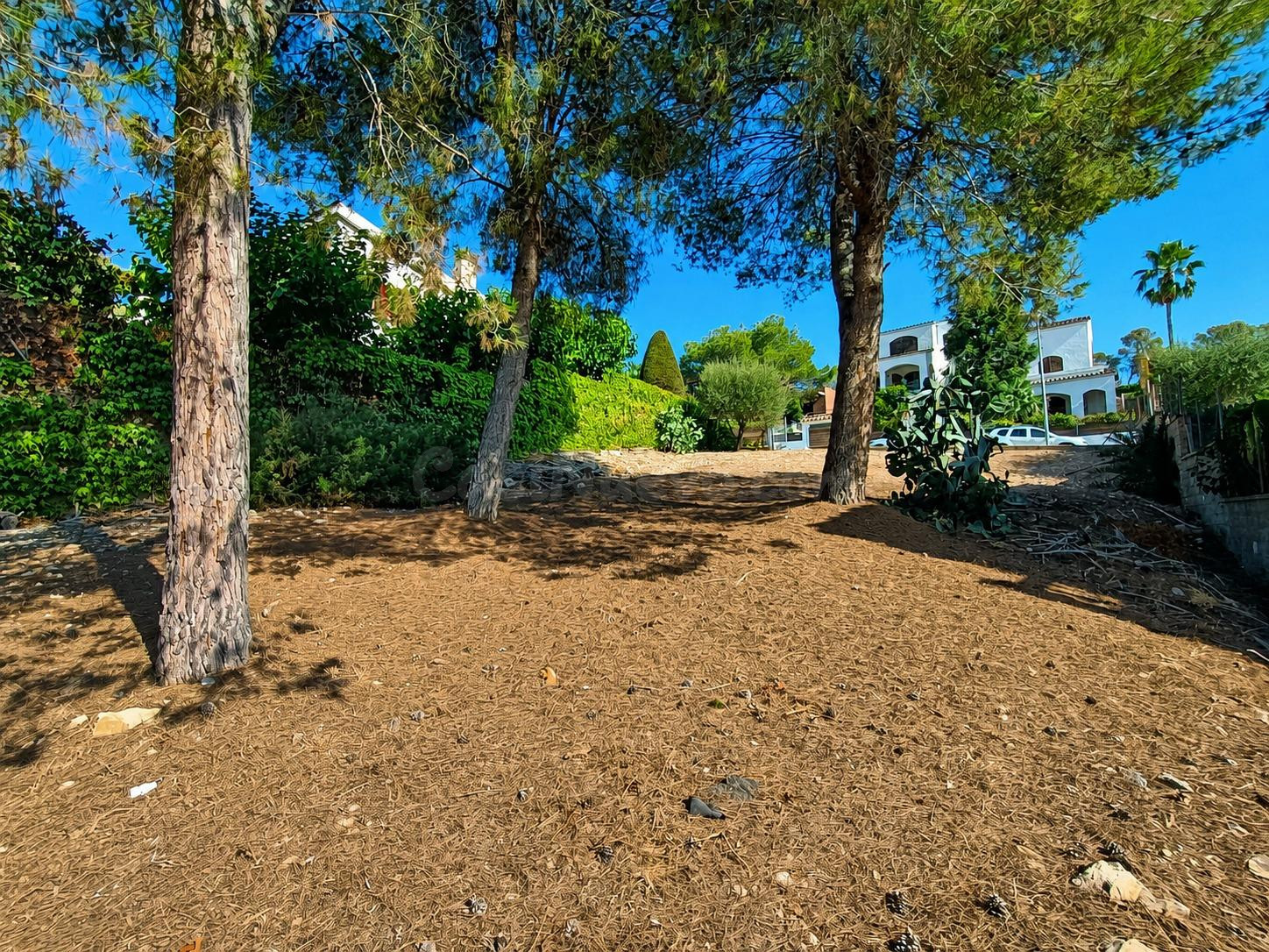 TERRENO DE 612 m2 EN LES QUINTANES – CONSTRUYE TU CASA EN UN - foto 4