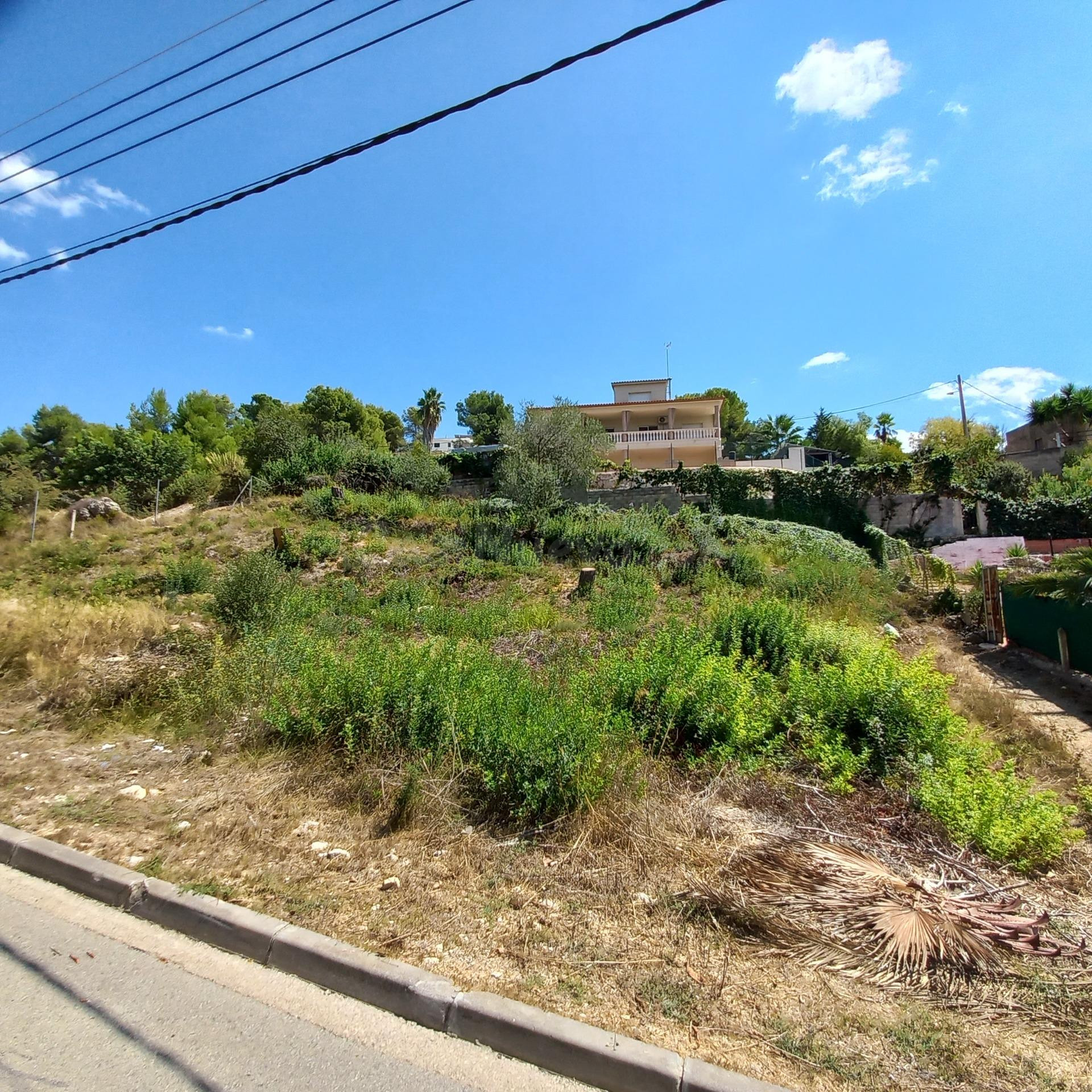 Gran terreno en venta. - foto 2
