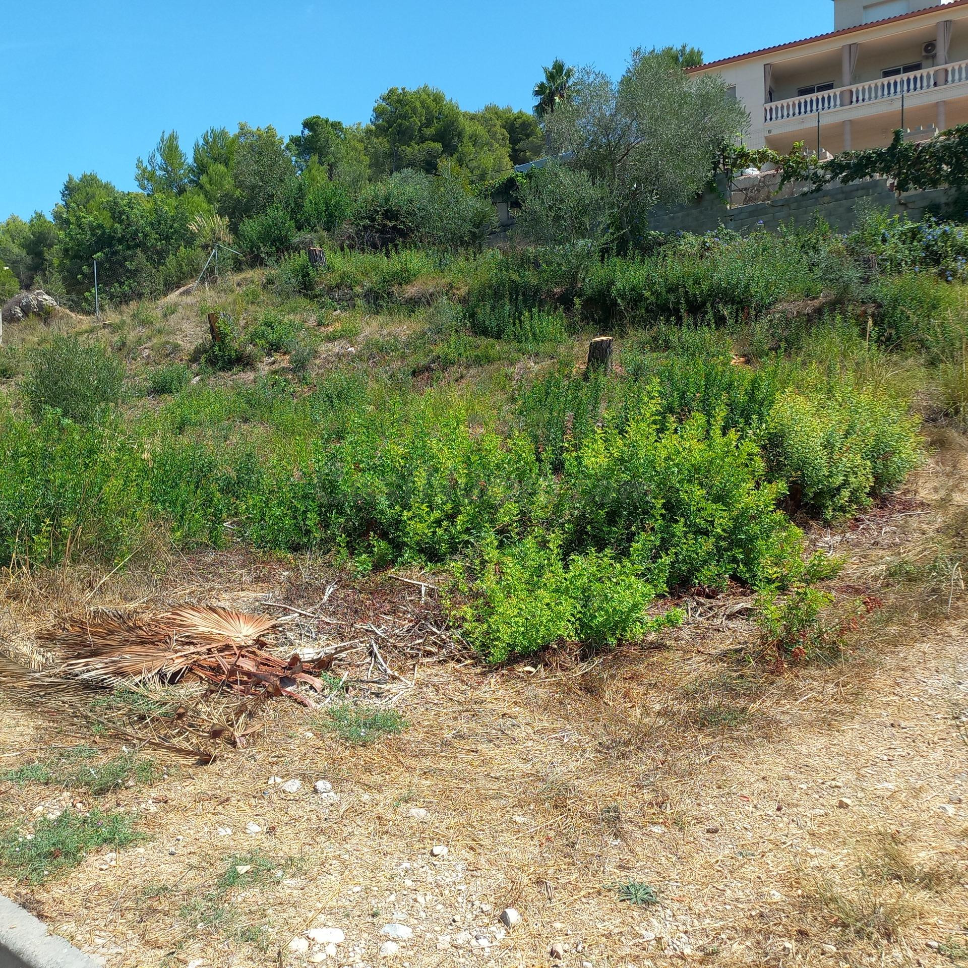 Gran terreno en venta. - foto 3