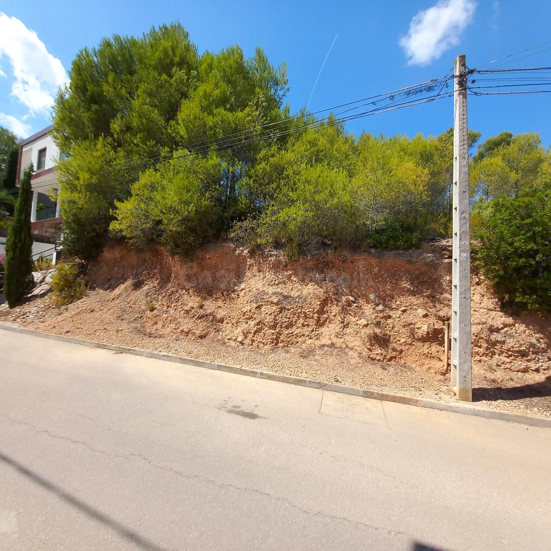 Gran terreno económico. - foto 4