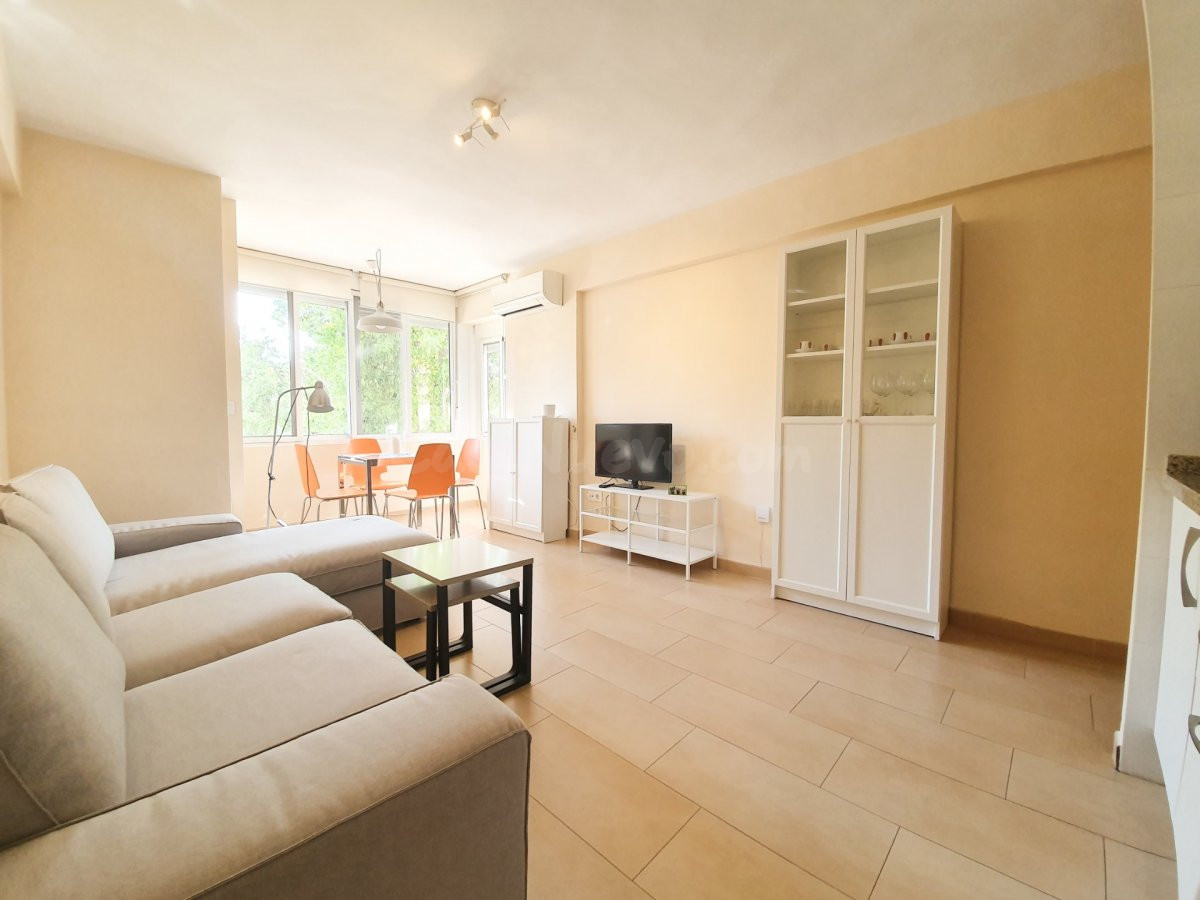 Piso 1 habitación 51m² en alquiler - Asunción - Adolfo Suáre - foto 2