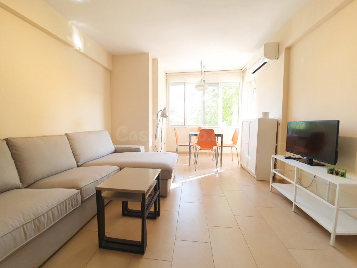 Piso 1 habitación 51m² en alquiler - Asunción - Adolfo Suáre - foto 3