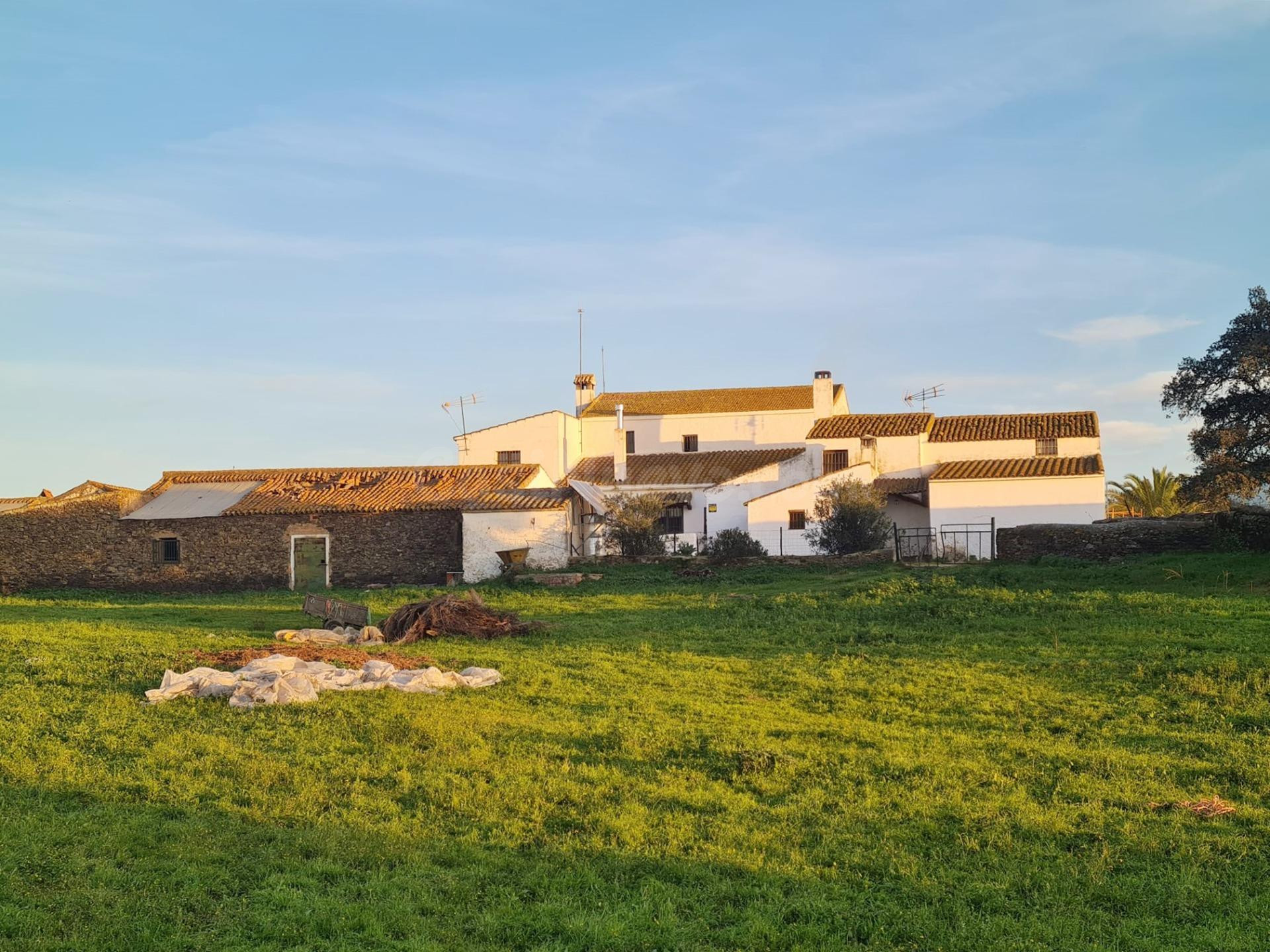 Magnifica finca ubicada entre El Alosno y Gibraleón - foto 5