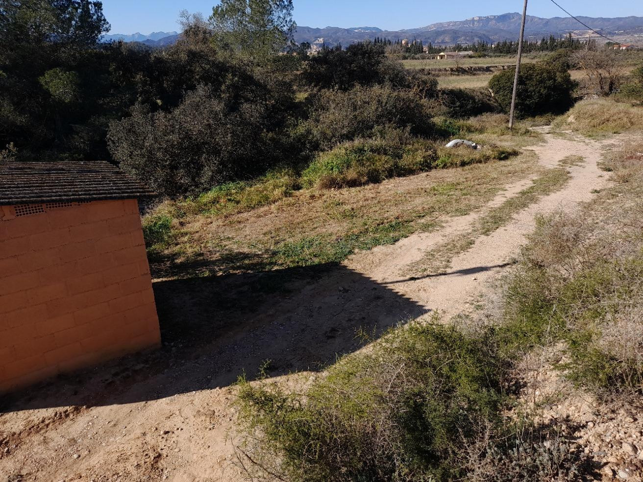 FINCA DE REGADIO DE 1,,2 HAS.CON `POZO, BALSA Y ALMACEN DE HERRAMIENTAS EN GINESTAR - foto 2
