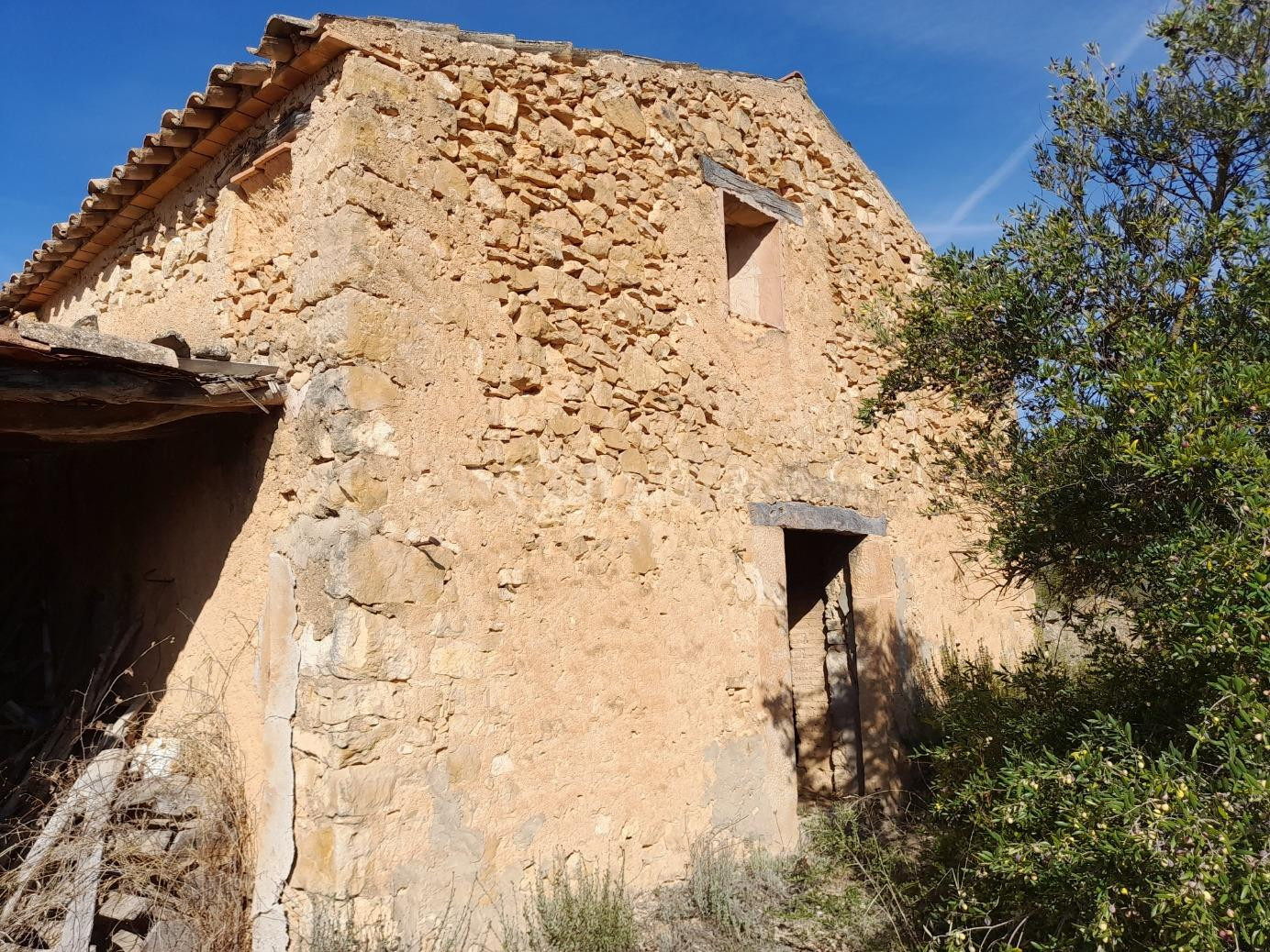 OPORTUNIDAD LOTE DE FINCAS RUSTICAS DE 24 HAS.CON DIVERSAS c