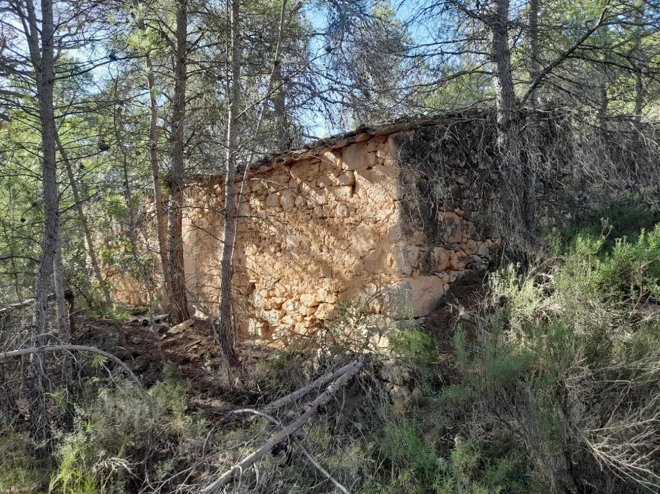 OPORTUNIDAD LOTE DE FINCAS RUSTICAS DE 24 HAS.CON DIVERSAS c - foto 3