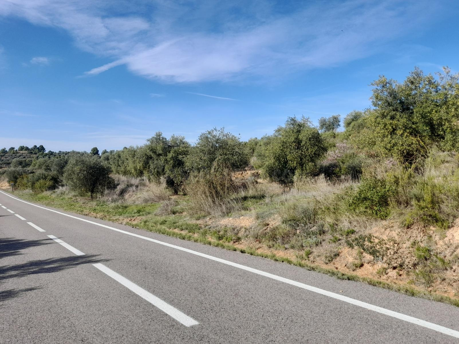 OPORTUNIDAD LOTE DE FINCAS RUSTICAS DE 24 HAS.CON DIVERSAS c - foto 4