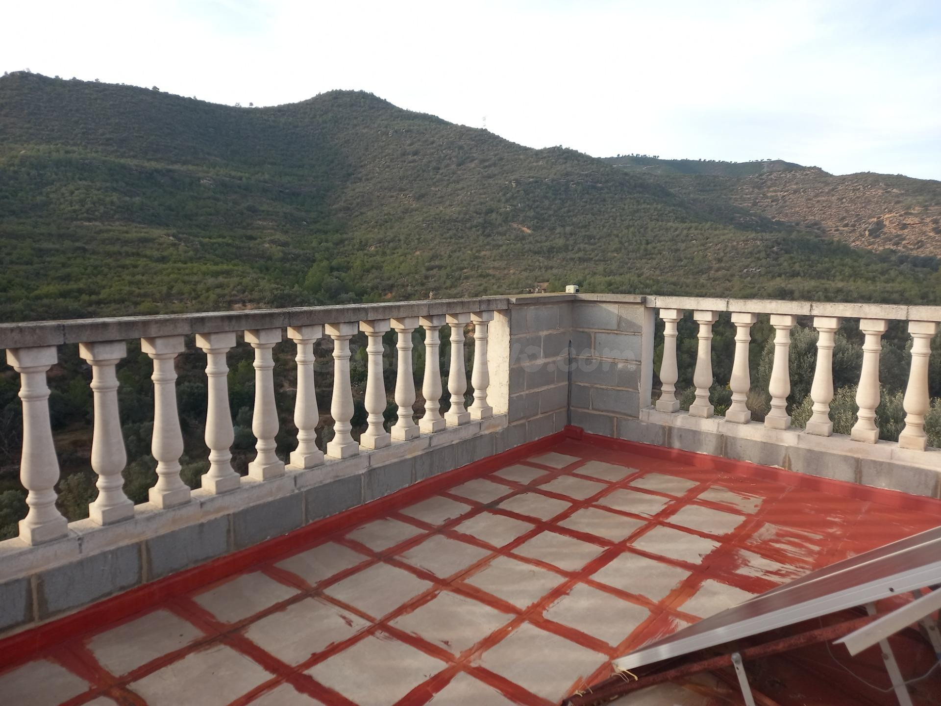 OCASION GRAN FINCA DE REGADIO CON DIVERSAS EDIFICACIONES DES - foto 4
