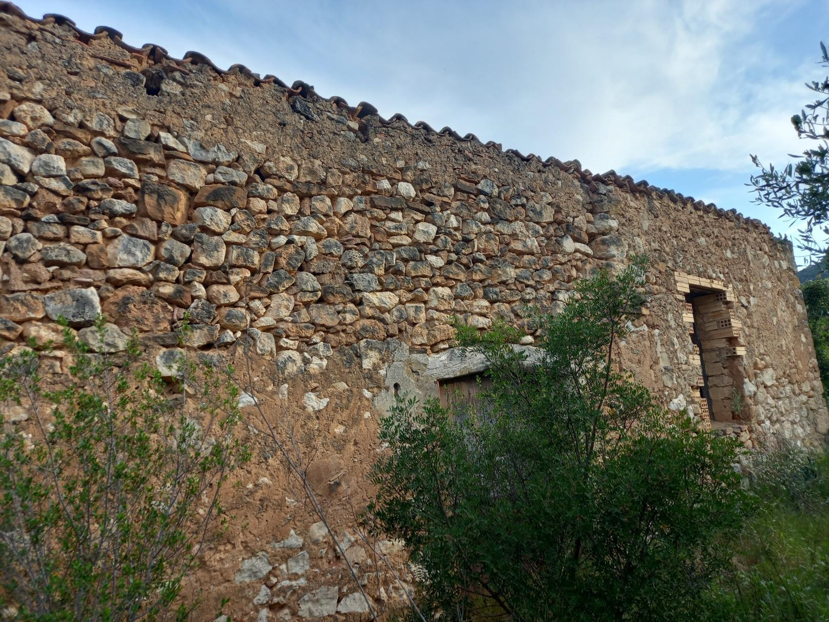 OCASION FINCA RUSTICA PLANTADA DE SEMICULTIVADA CON MASIA DE