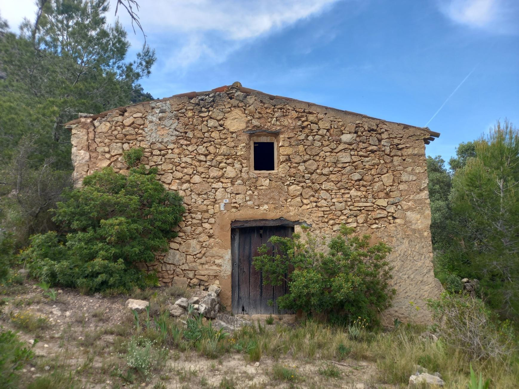 OPORTUNIDAD FINCA RUSTICA DE 2,7 HAS. PLANTADA DE OLIVOS Y A