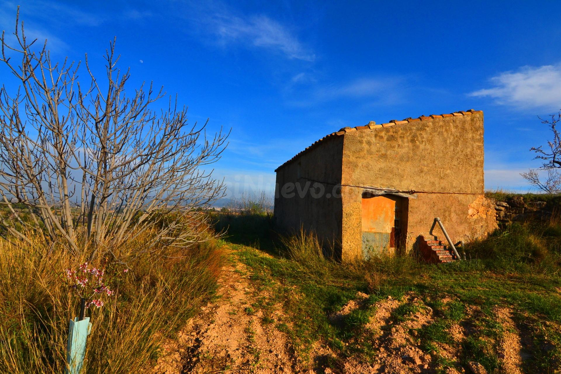 OPORTUNIDAD FINCA RUSTICA DE REGADIO EN PRODUCCION EN GANDES