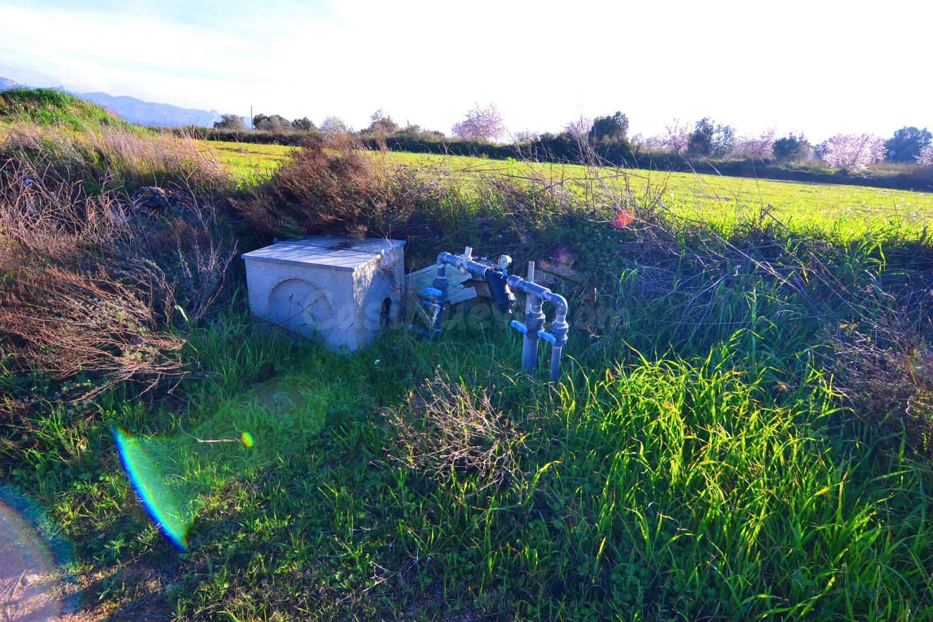 OPORTUNIDAD FINCA RUSTICA DE REGADIO EN PRODUCCION EN GANDES - foto 2