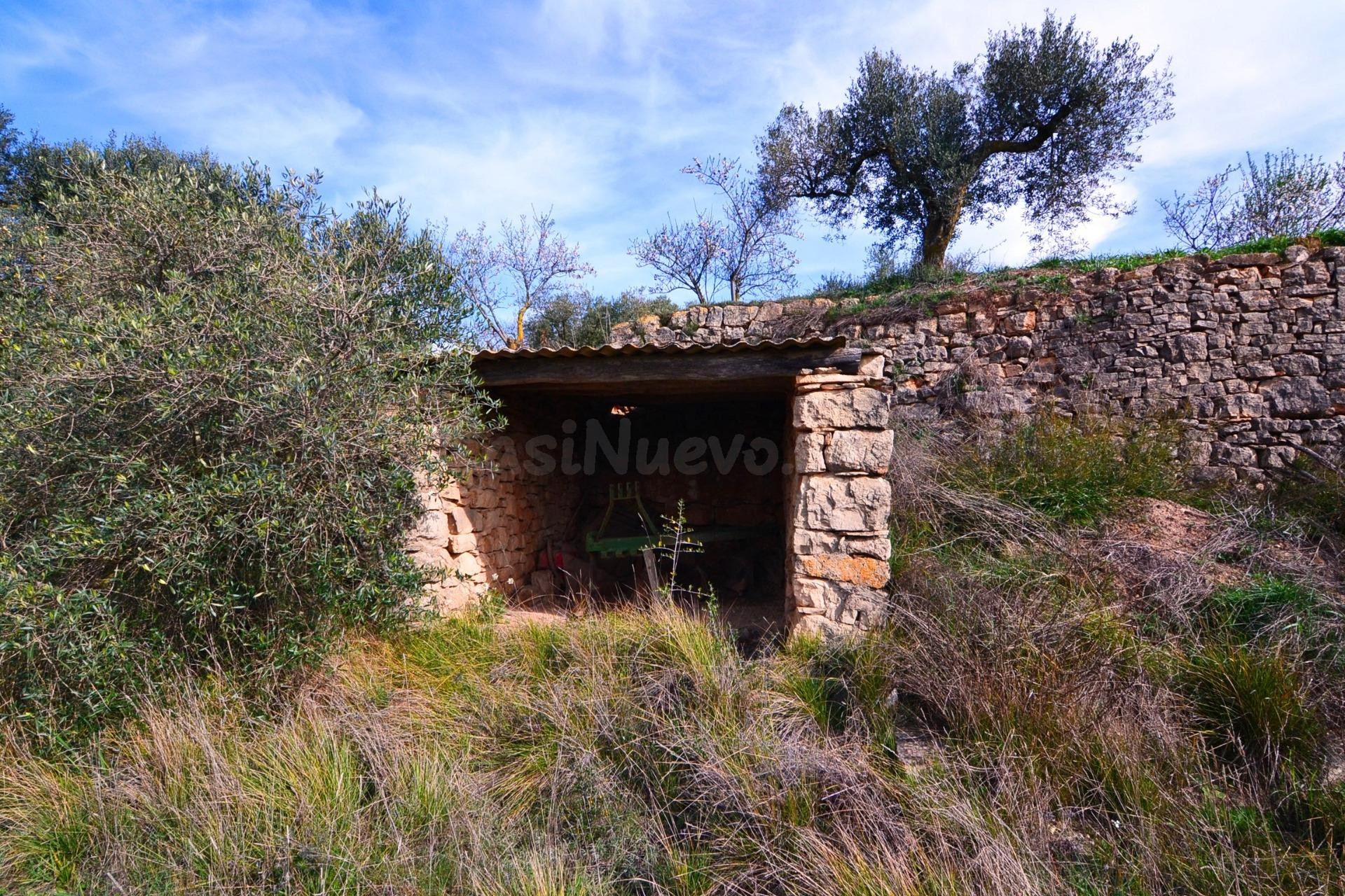 OPORTUNIDAD FINCA DE RIEGO CON PEQUEÑA construcción EN  LA F