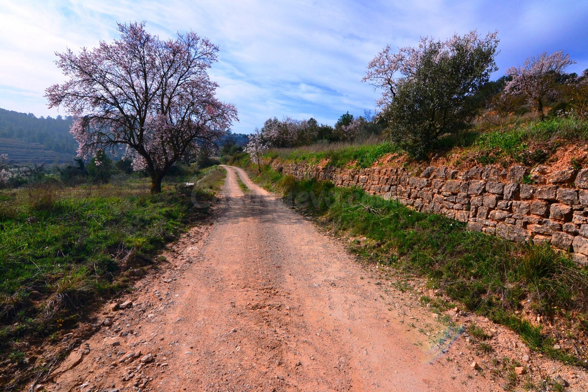 OPORTUNIDAD FINCA DE RIEGO CON PEQUEÑA construcción EN  LA F - foto 2