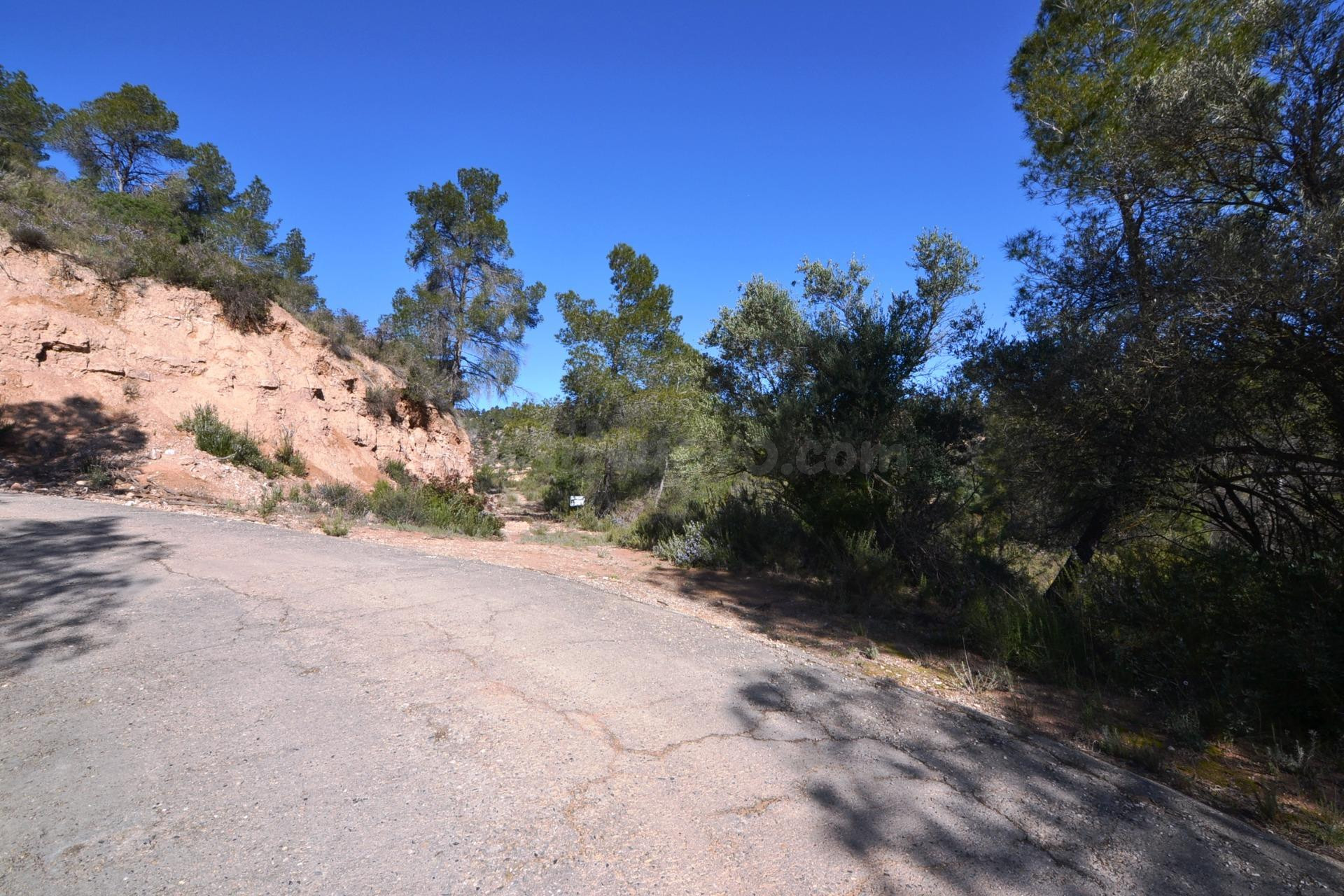OCASION FINCA RUSTICA DE SECANO DE 2,4 HAS EN ASCO (Ribera d