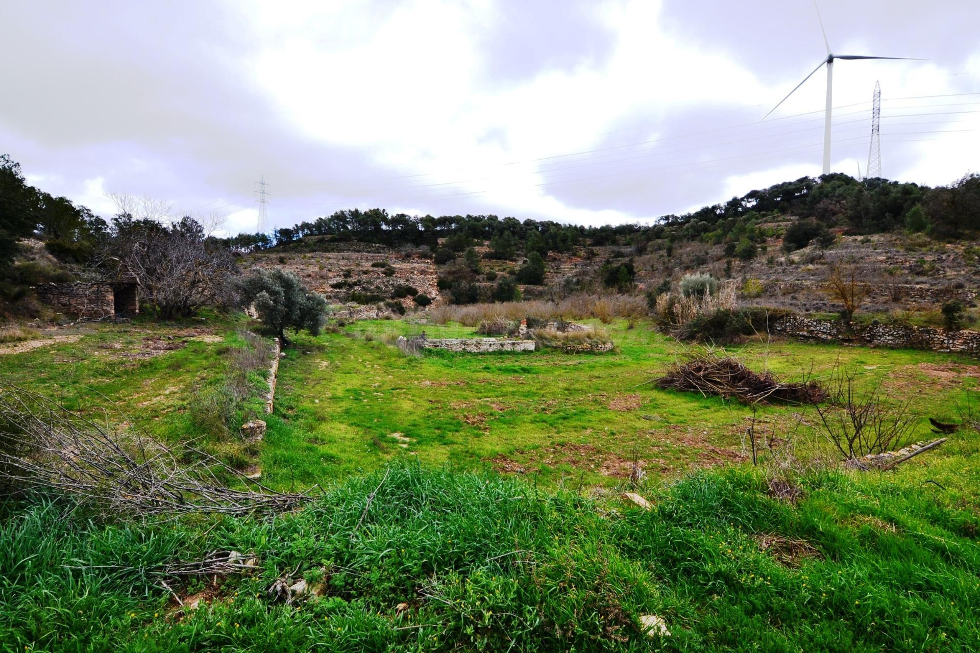 OPORTUNIDAD GRAN FINCA CON construcciones DE PIEDRA EN VILAL - foto 4