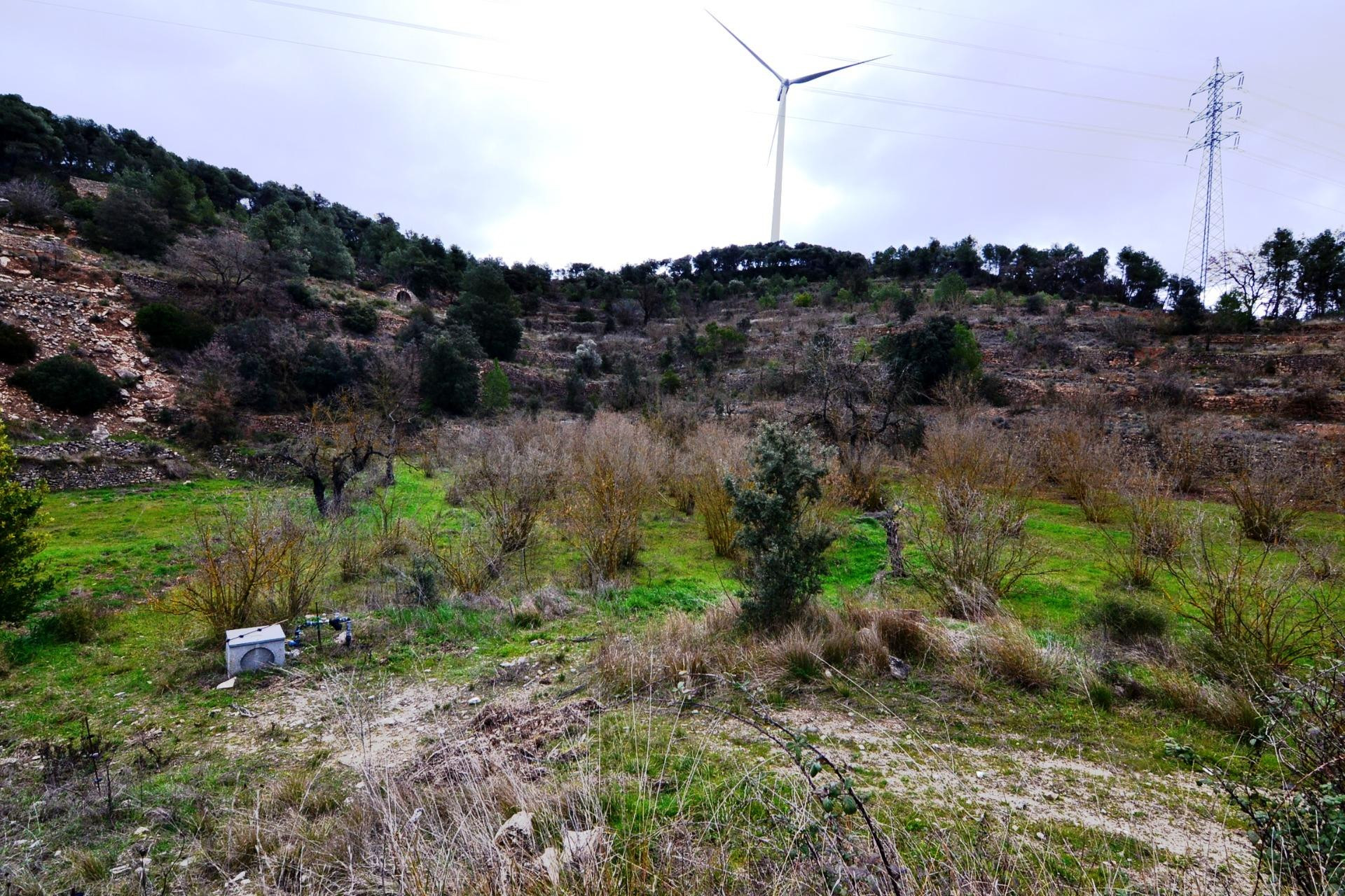 OPORTUNIDAD GRAN FINCA CON construcciones DE PIEDRA EN VILAL - foto 5