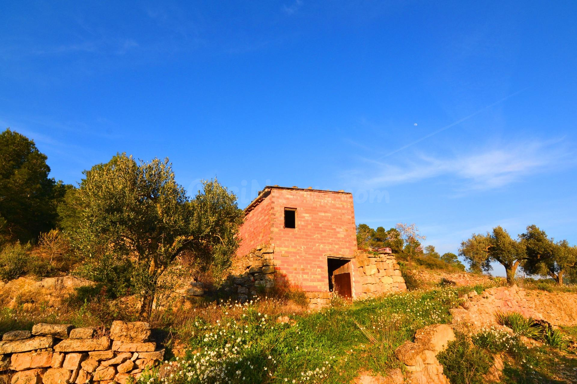 OPORTUNIDAD FINCA DE REGADIO CON MASIA DE DOS PLANTAS EN CORBERA D´EBRE (Terra Alta)