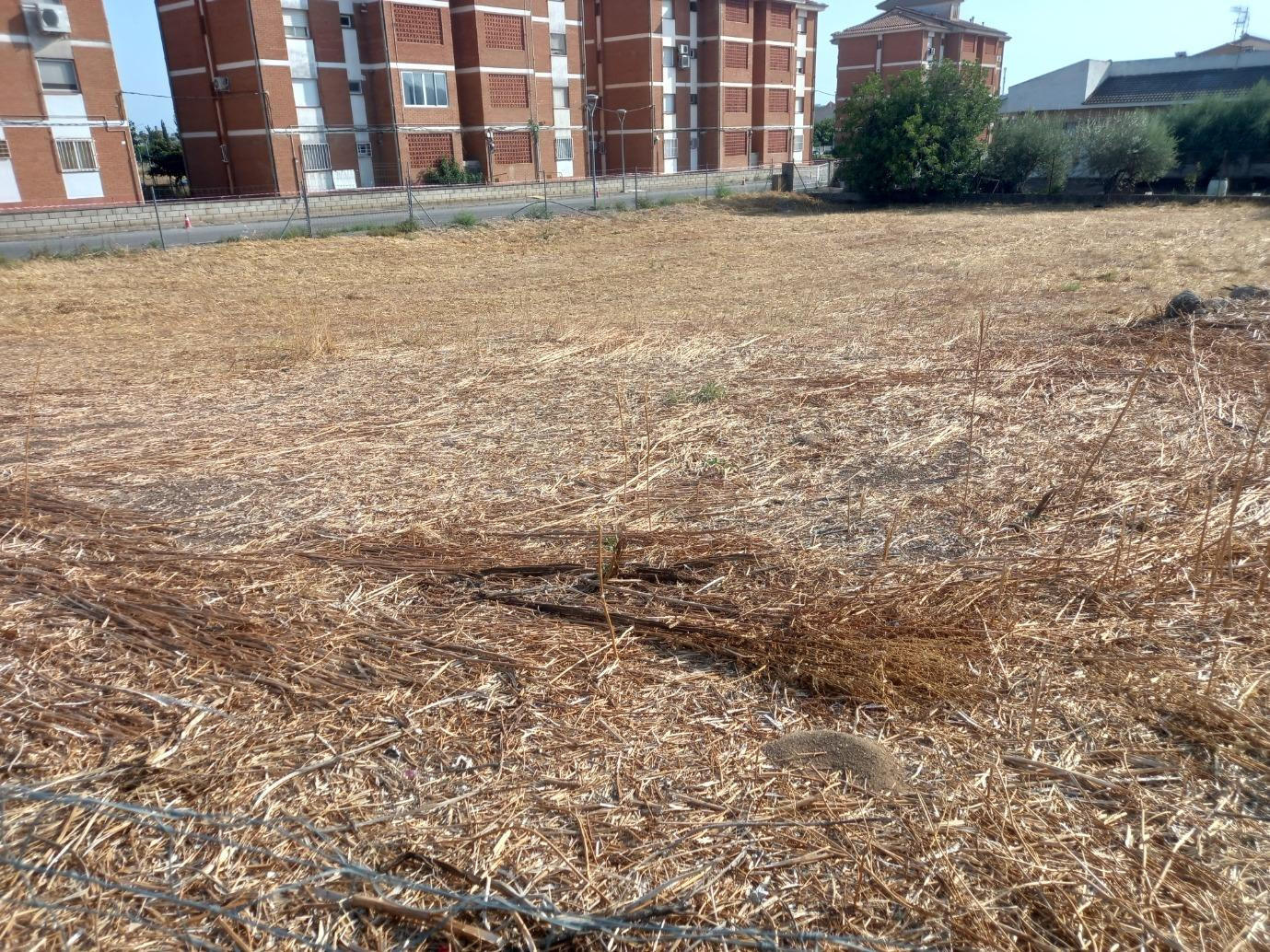 ESPECIAL INVERSORES, SOLAR EN VENTA EN ZONA DE UNIFAMILIARES - foto 3