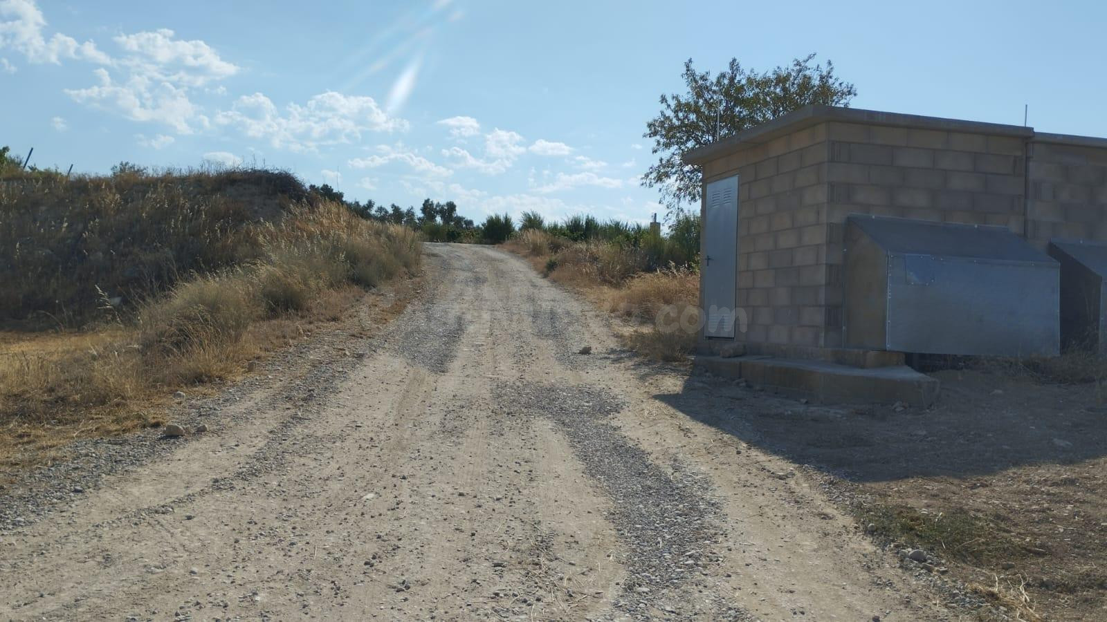 OCASION FINCA DE REGADIO PLANTADA DE OLIVOS EN PRODUCCION