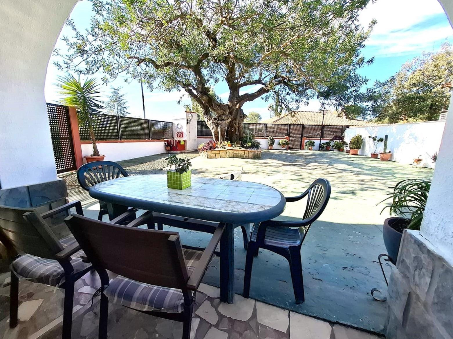 Chalet en zona urbanizable en Ontinyent - foto 4