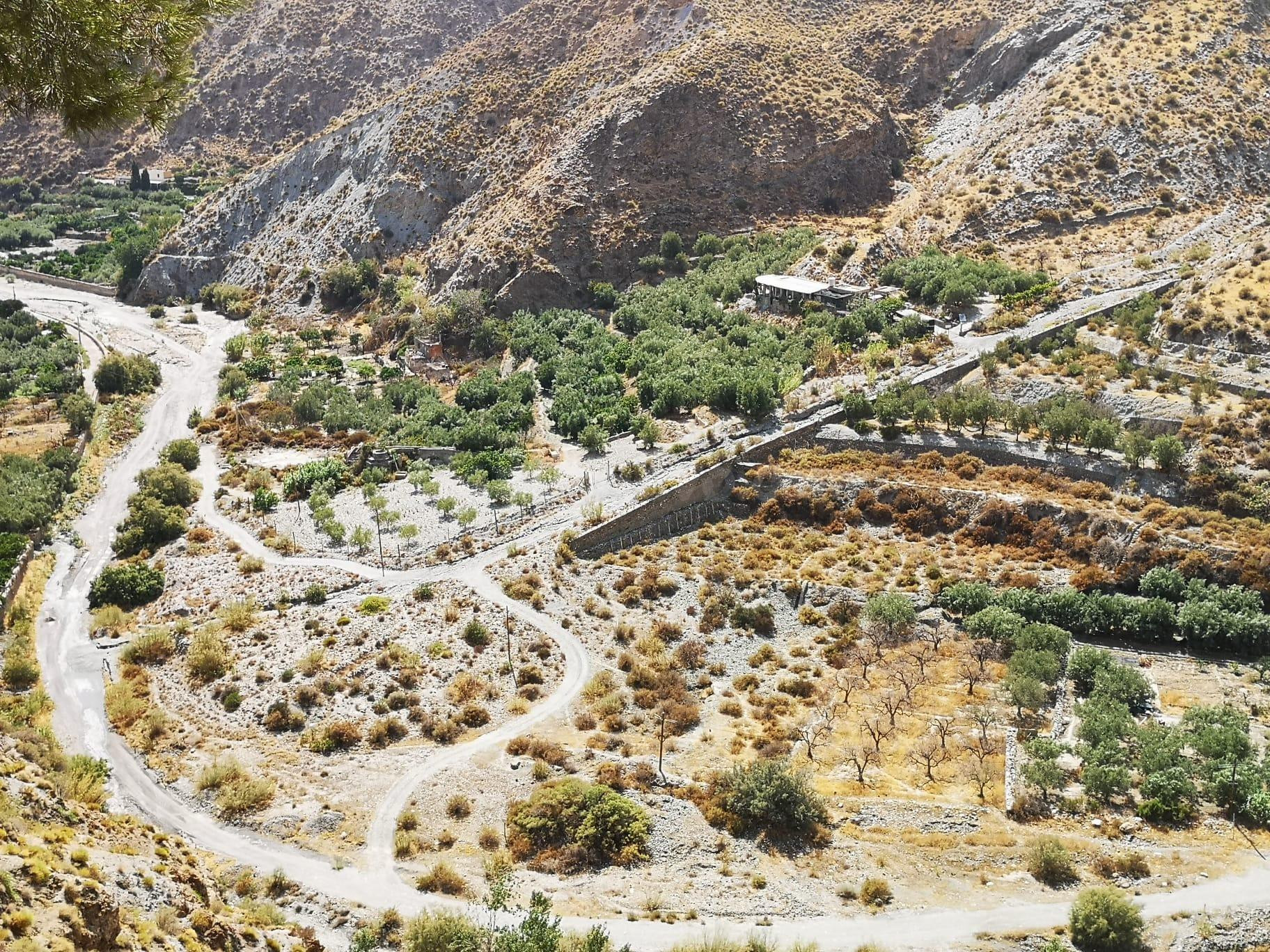 FINCA RUSTICA EN ALBOLODUY - foto 2