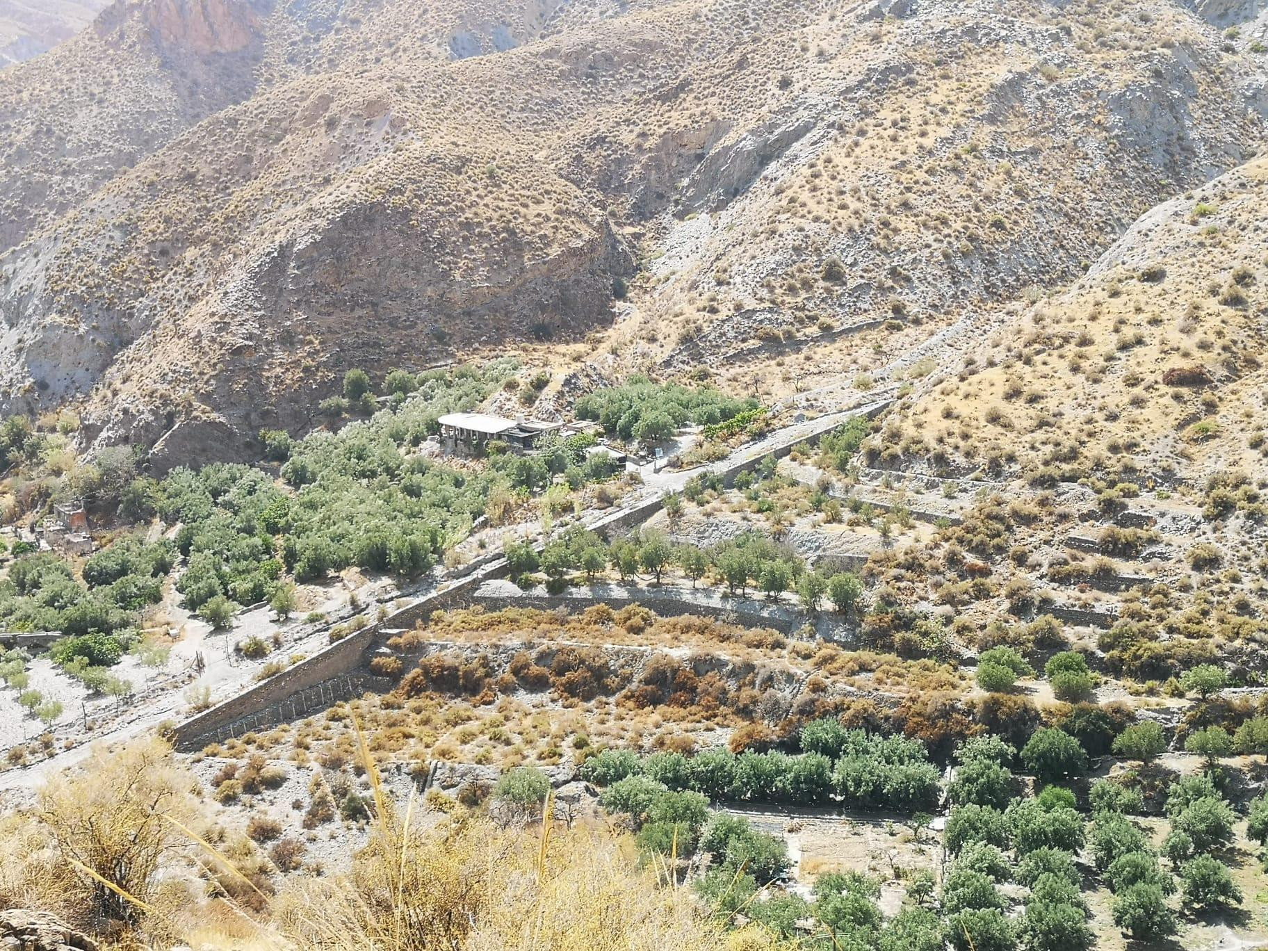 FINCA RUSTICA EN ALBOLODUY - foto 3