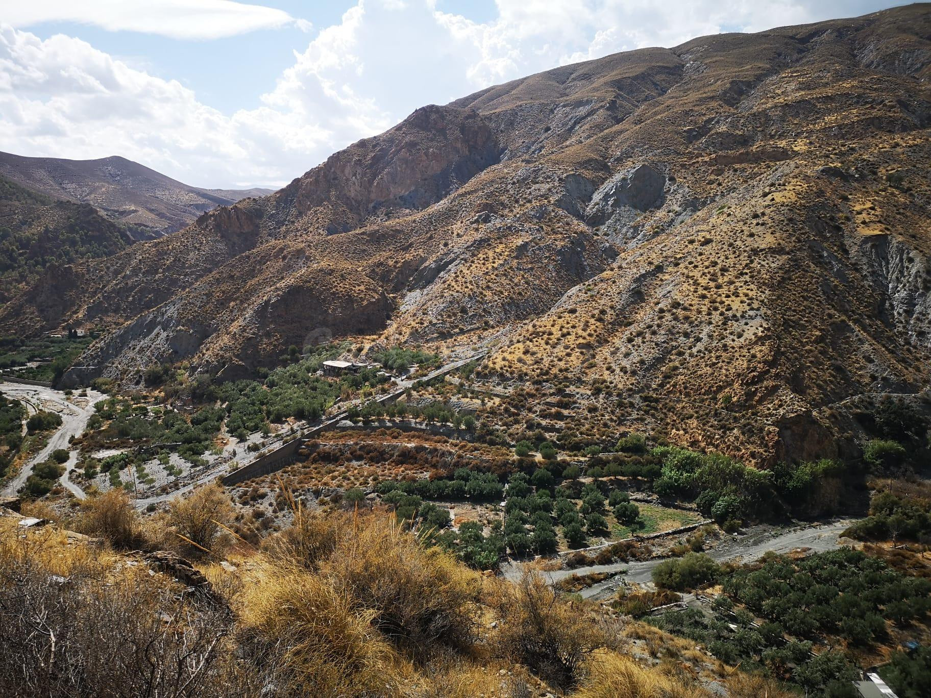 FINCA RUSTICA EN ALBOLODUY - foto 4