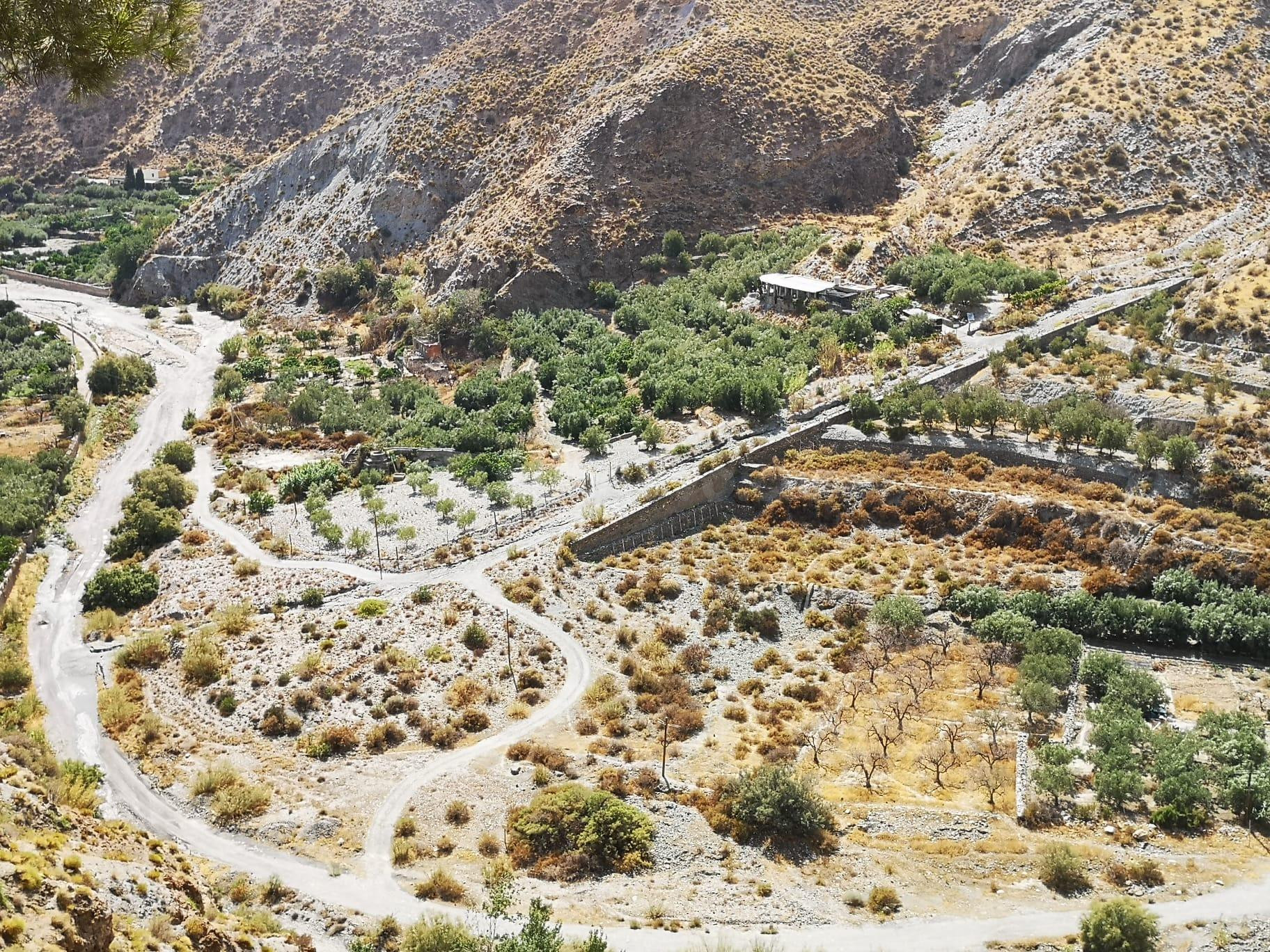 FINCA RUSTICA EN ALBOLODUY - foto 5