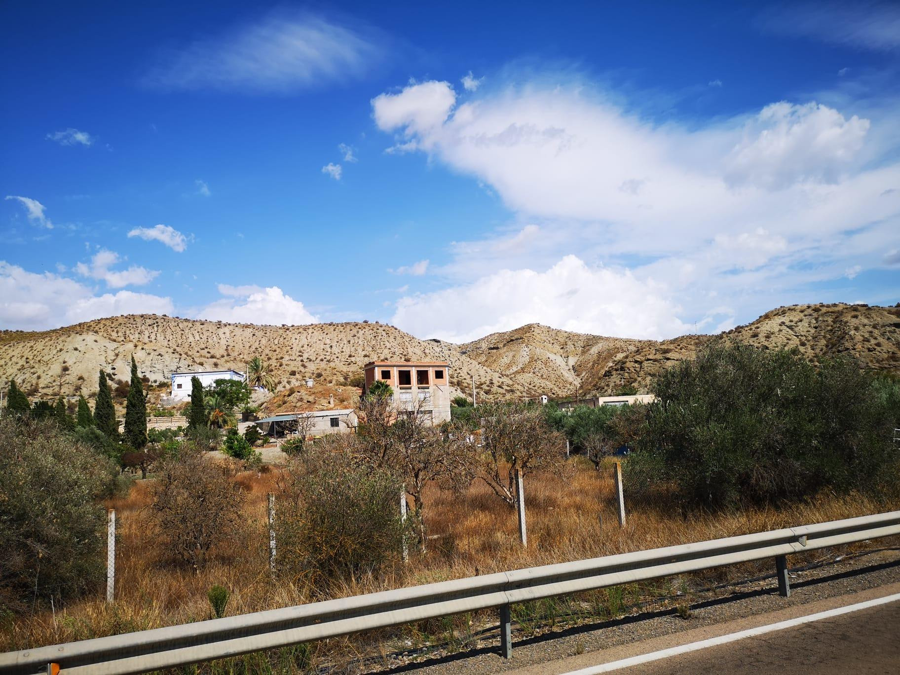 Finca rústica en Santa Cruz de Marchena - foto 2