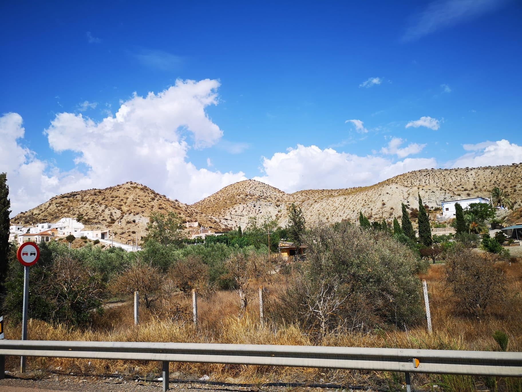 Finca rústica en Santa Cruz de Marchena - foto 3