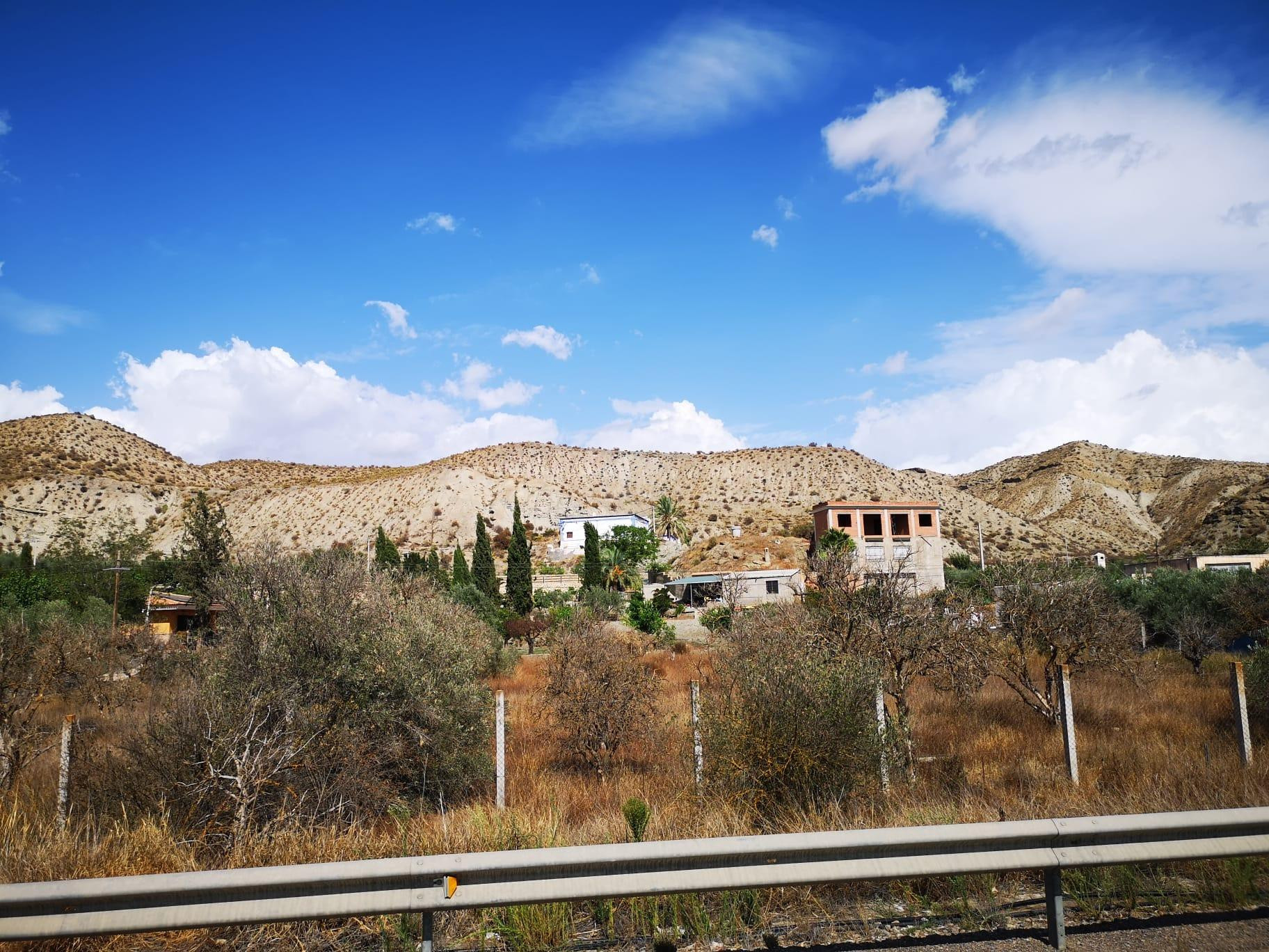 Finca rústica en Santa Cruz de Marchena - foto 4