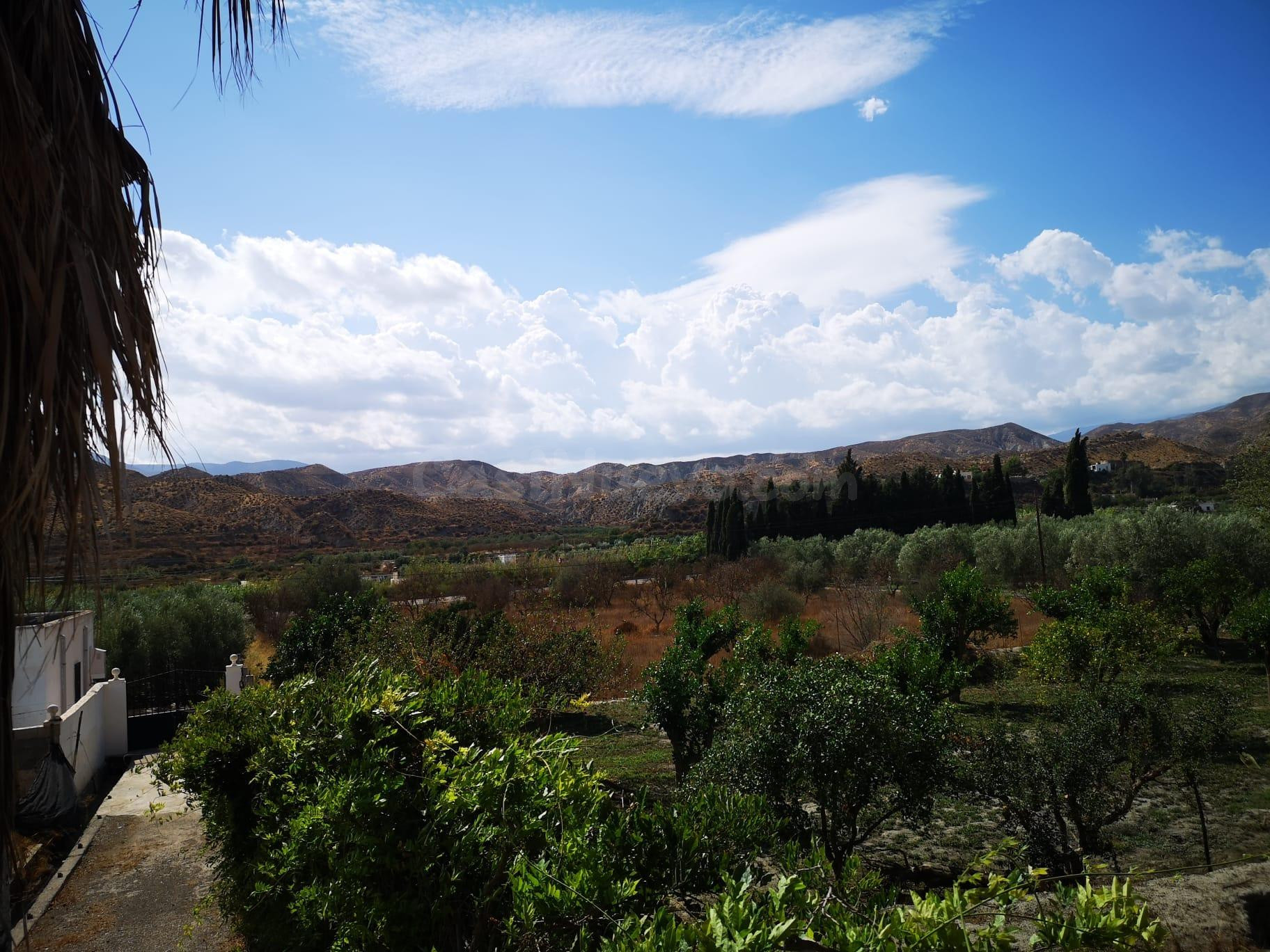 Finca rústica en Santa Cruz de Marchena - foto 5