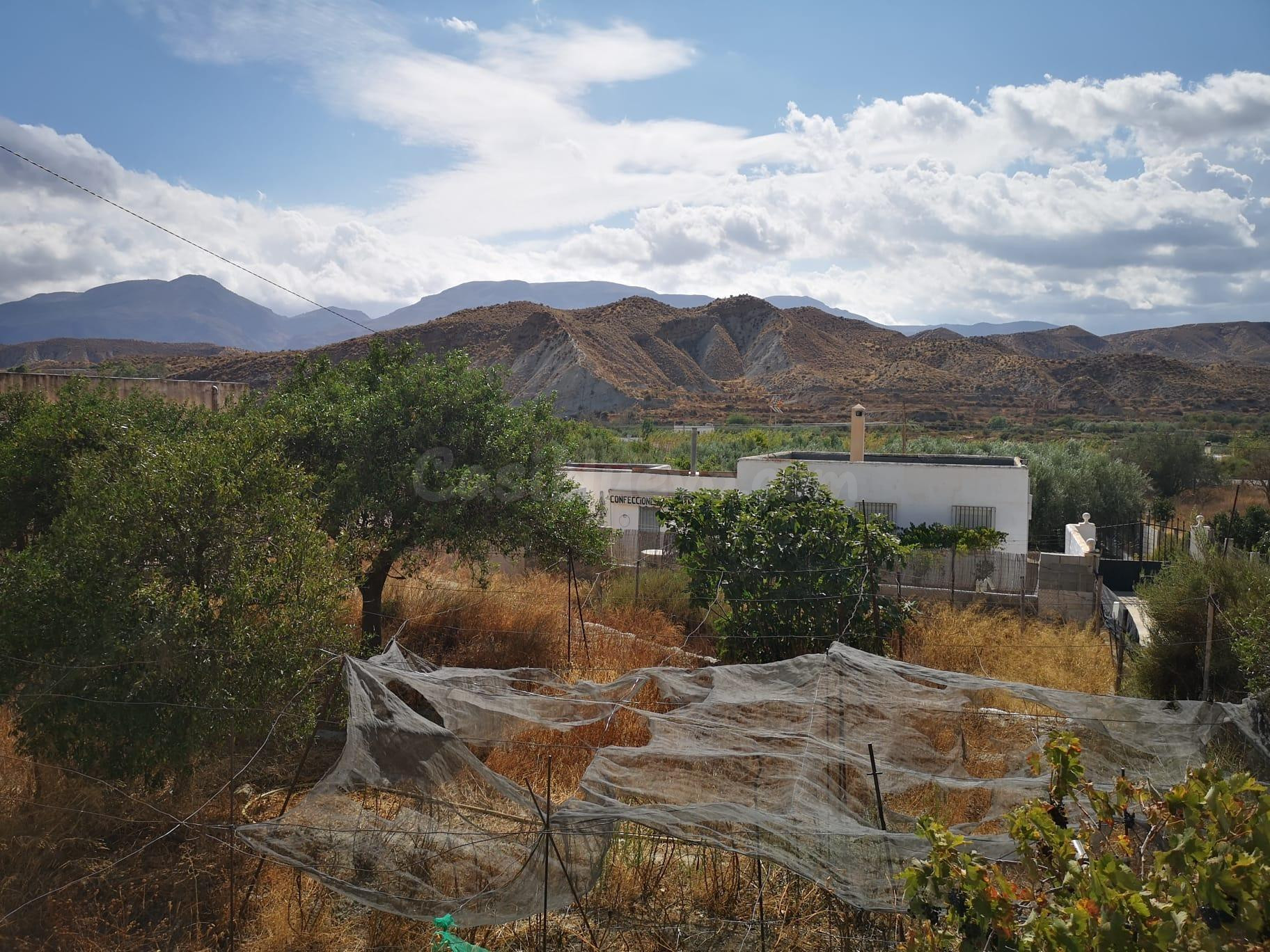 Finca rústica en Santa Cruz de Marchena - foto 2