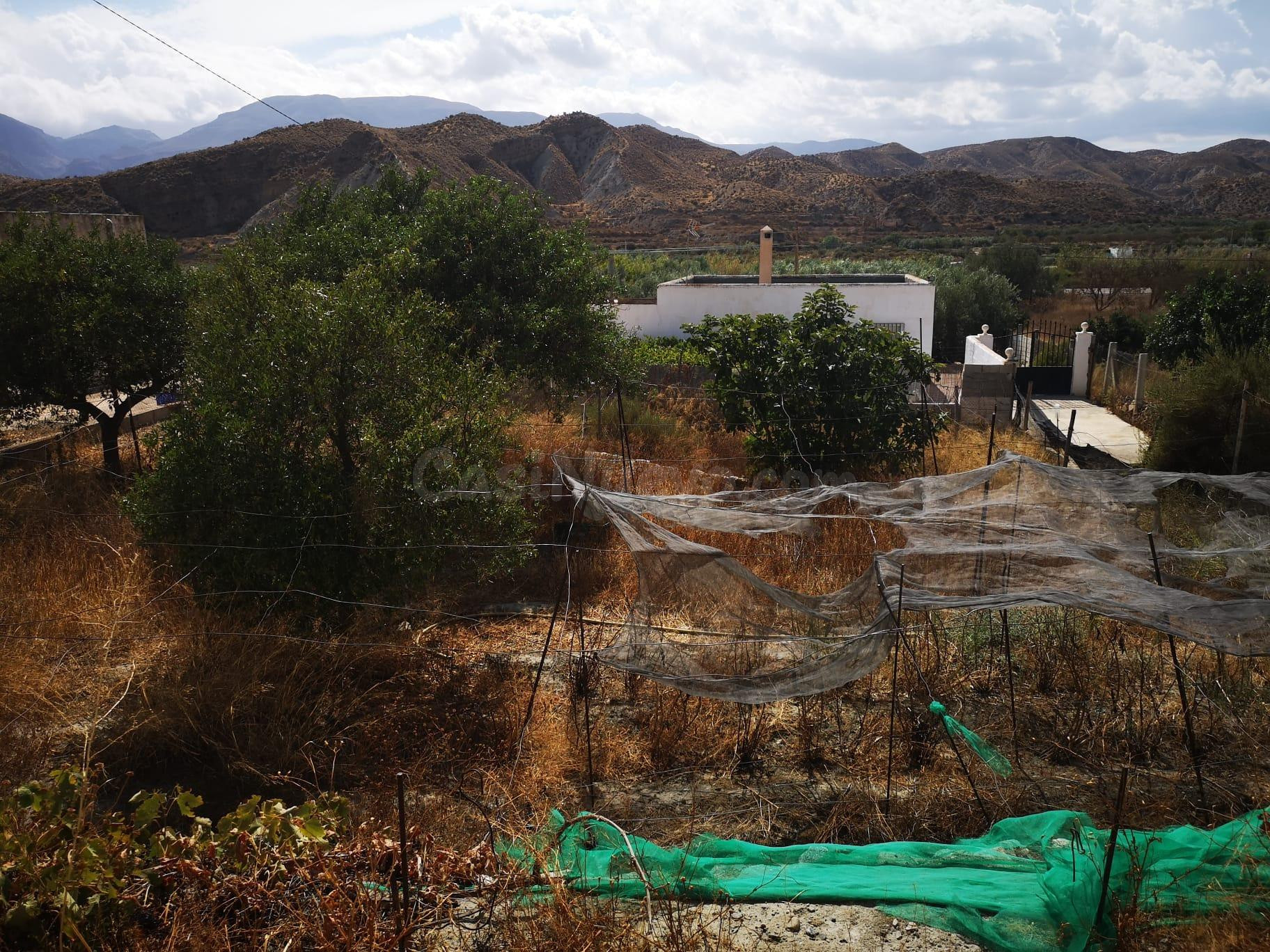 Finca rústica en Santa Cruz de Marchena - foto 3