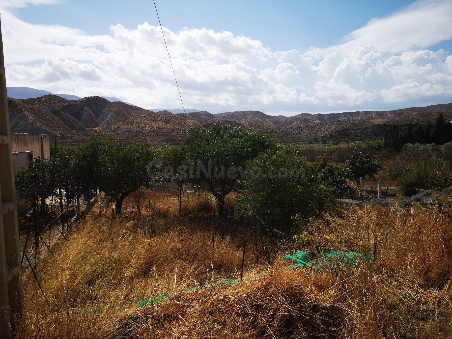 Finca rústica en Santa Cruz de Marchena - foto 4