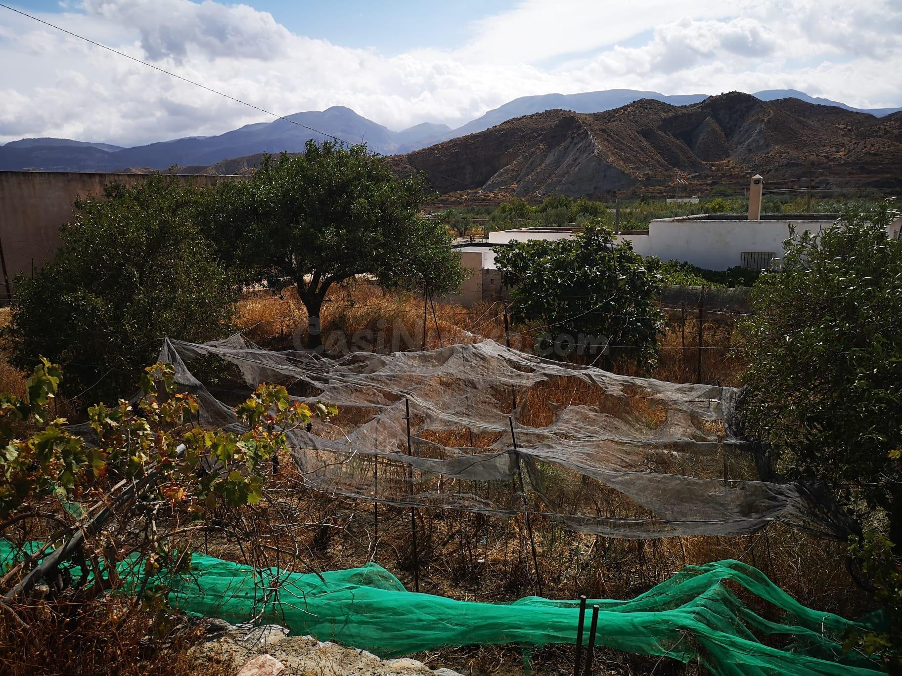 Finca rústica en Santa Cruz de Marchena - foto 5