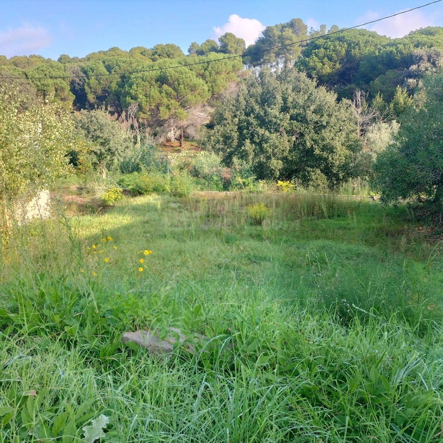 TERRENO A LA VENTA EN SANTA EULÀLIA DE RONÇANA - foto 2