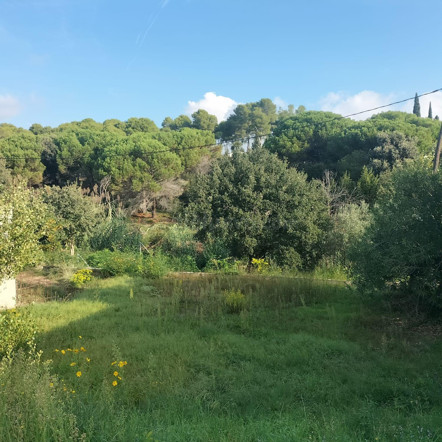 TERRENO A LA VENTA EN SANTA EULÀLIA DE RONÇANA - foto 4