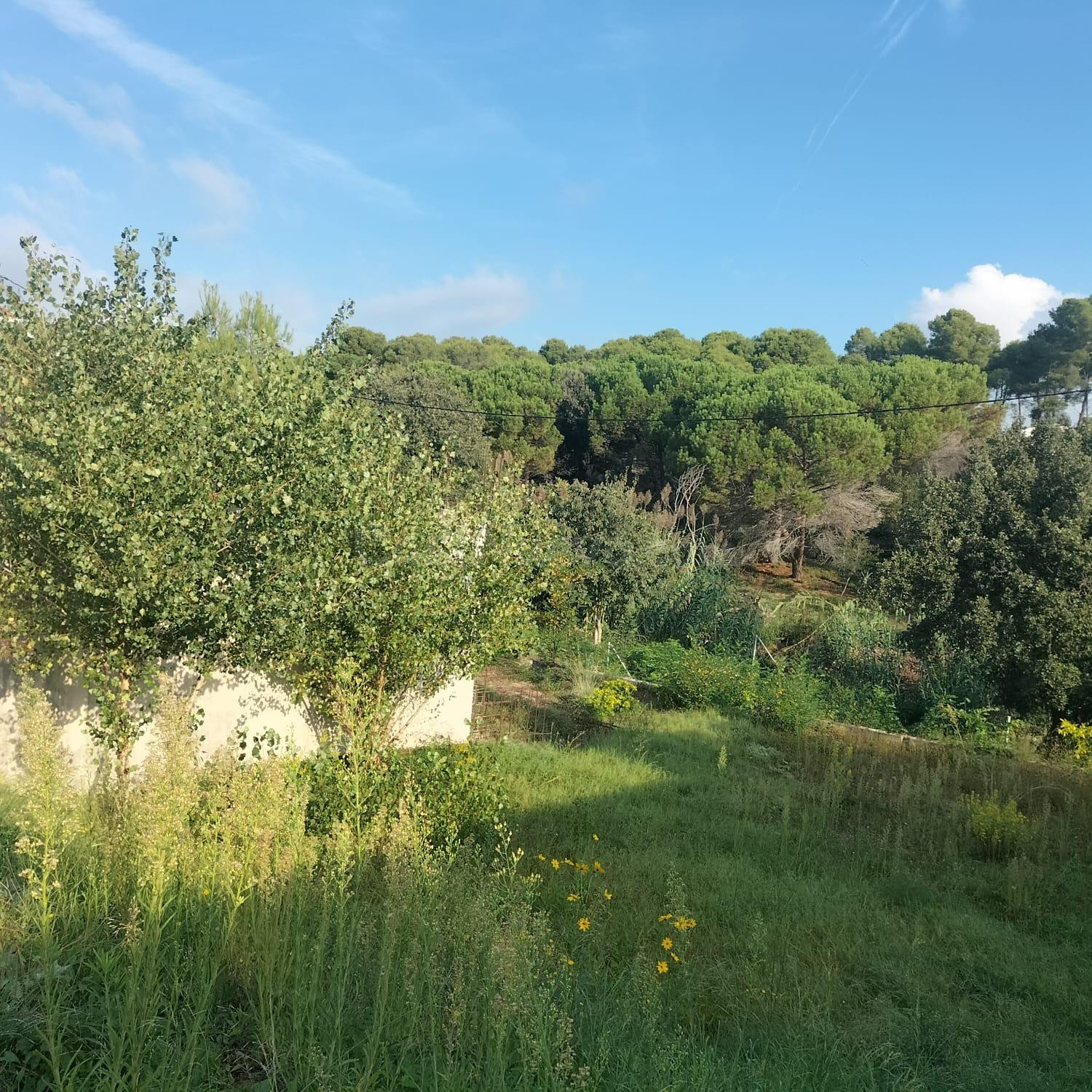 TERRENO A LA VENTA EN SANTA EULÀLIA DE RONÇANA - foto 5